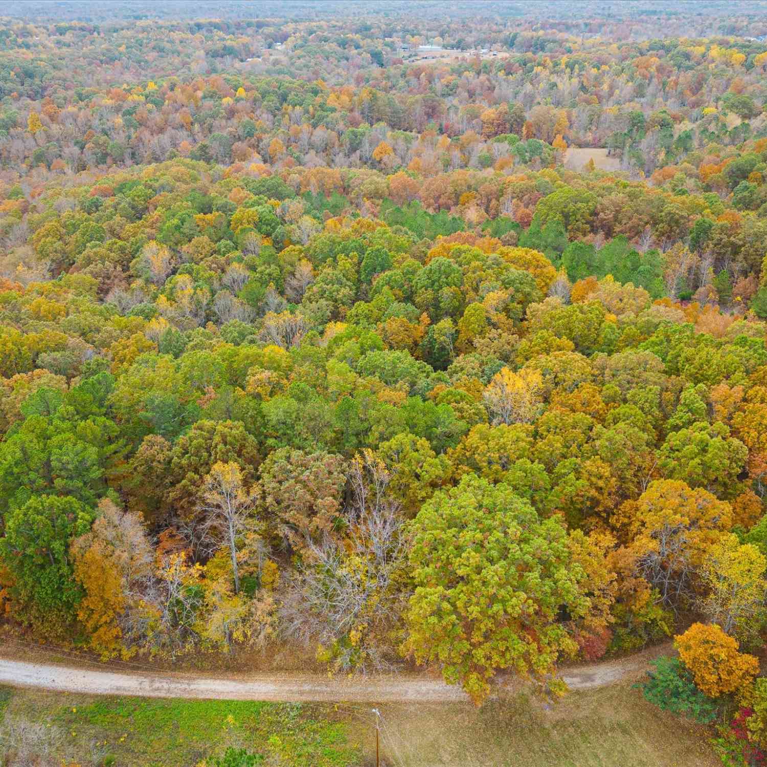 Wallace Road, Fairview, Tennessee image 2