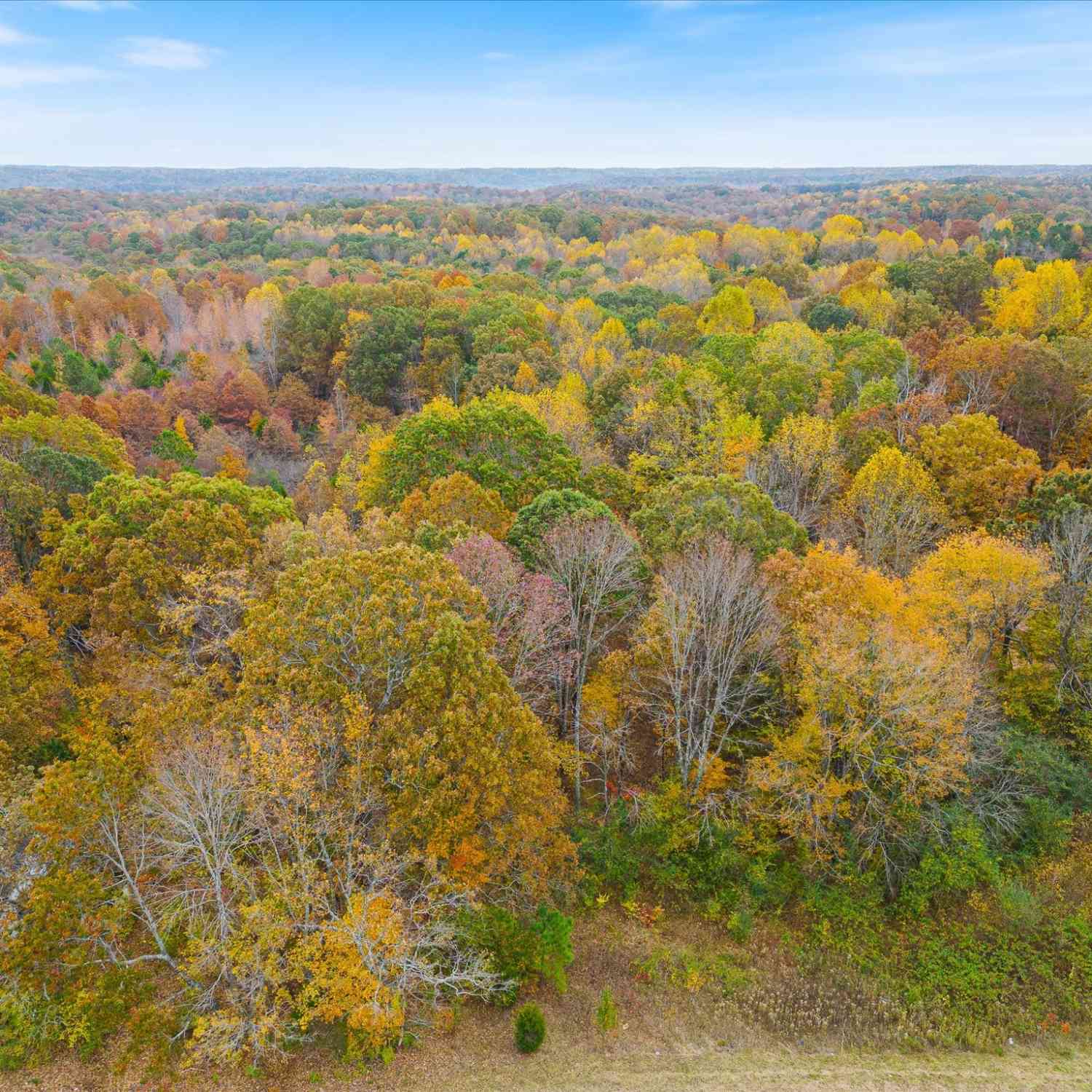 Wallace Road, Fairview, Tennessee image 4