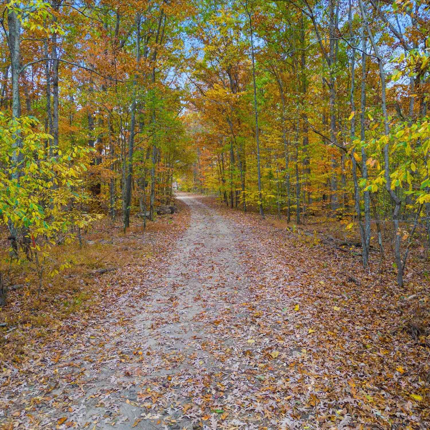 Wallace Road, Fairview, Tennessee image 1