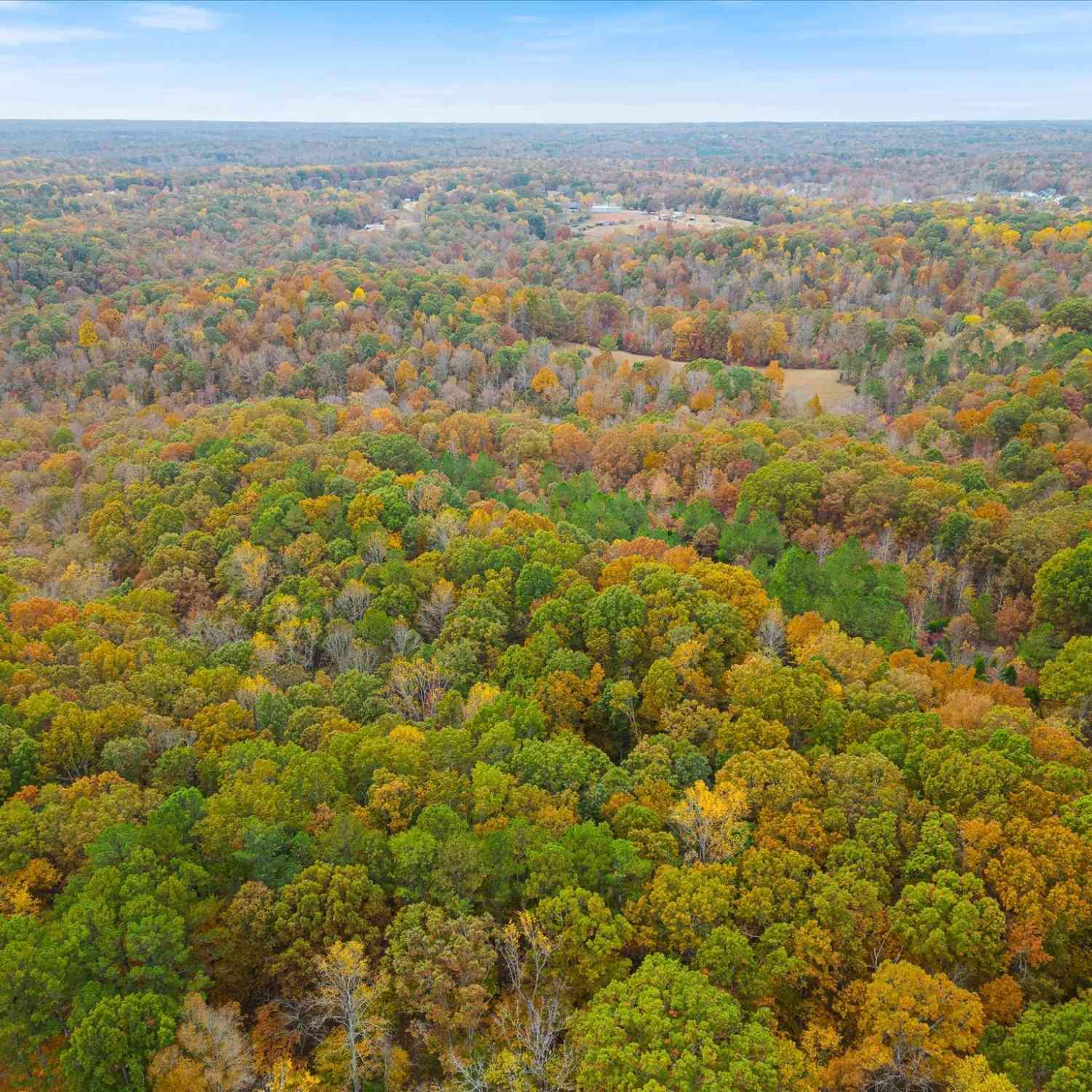 Wallace Road, Fairview, Tennessee image 3