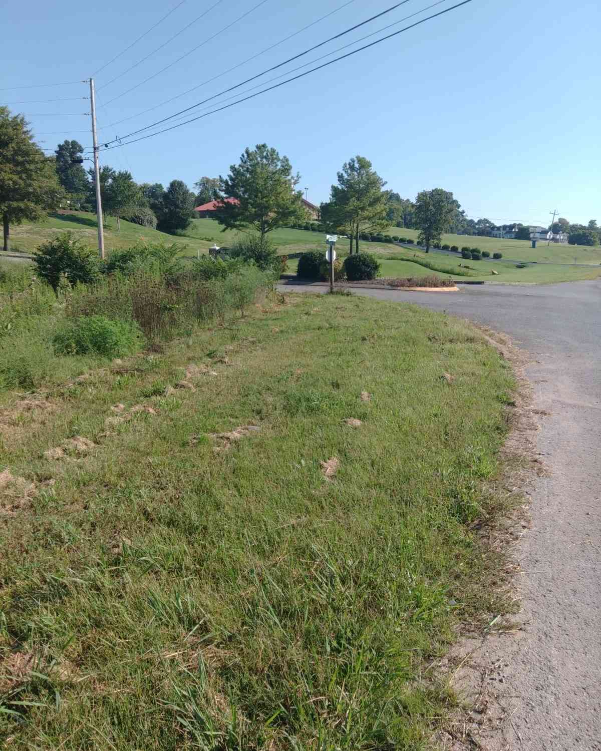 Tom J Hitch, Columbia, Tennessee image 3