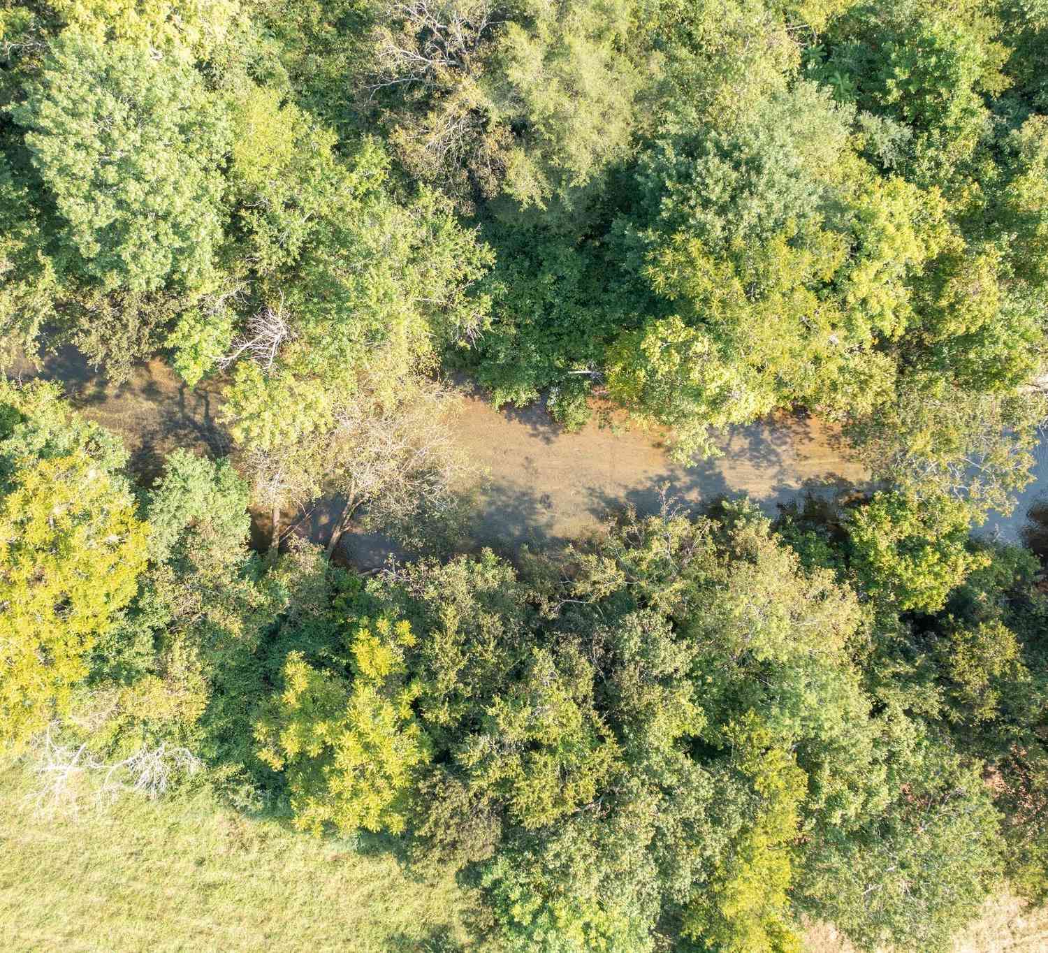 1 Hampshire Pike, Columbia, Tennessee image 9