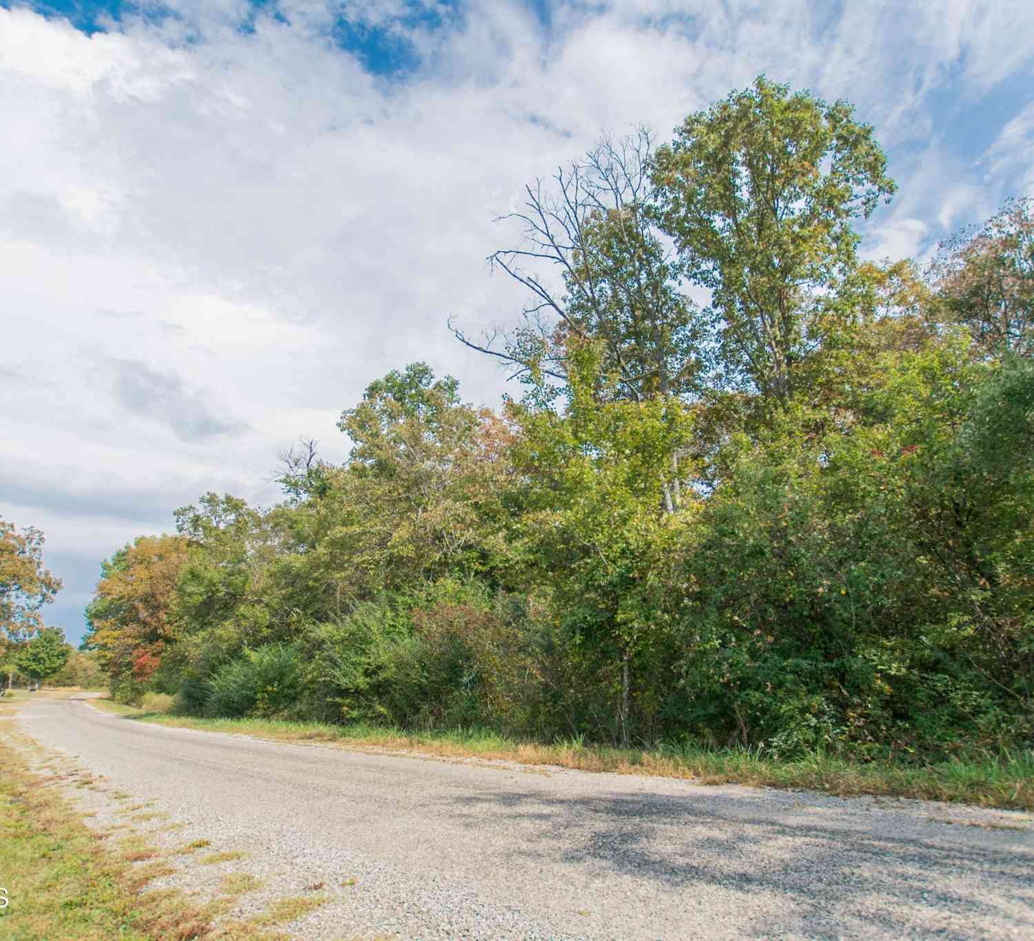 Ivey Road Hwy 127 N Off, Crossville, Tennessee image 3