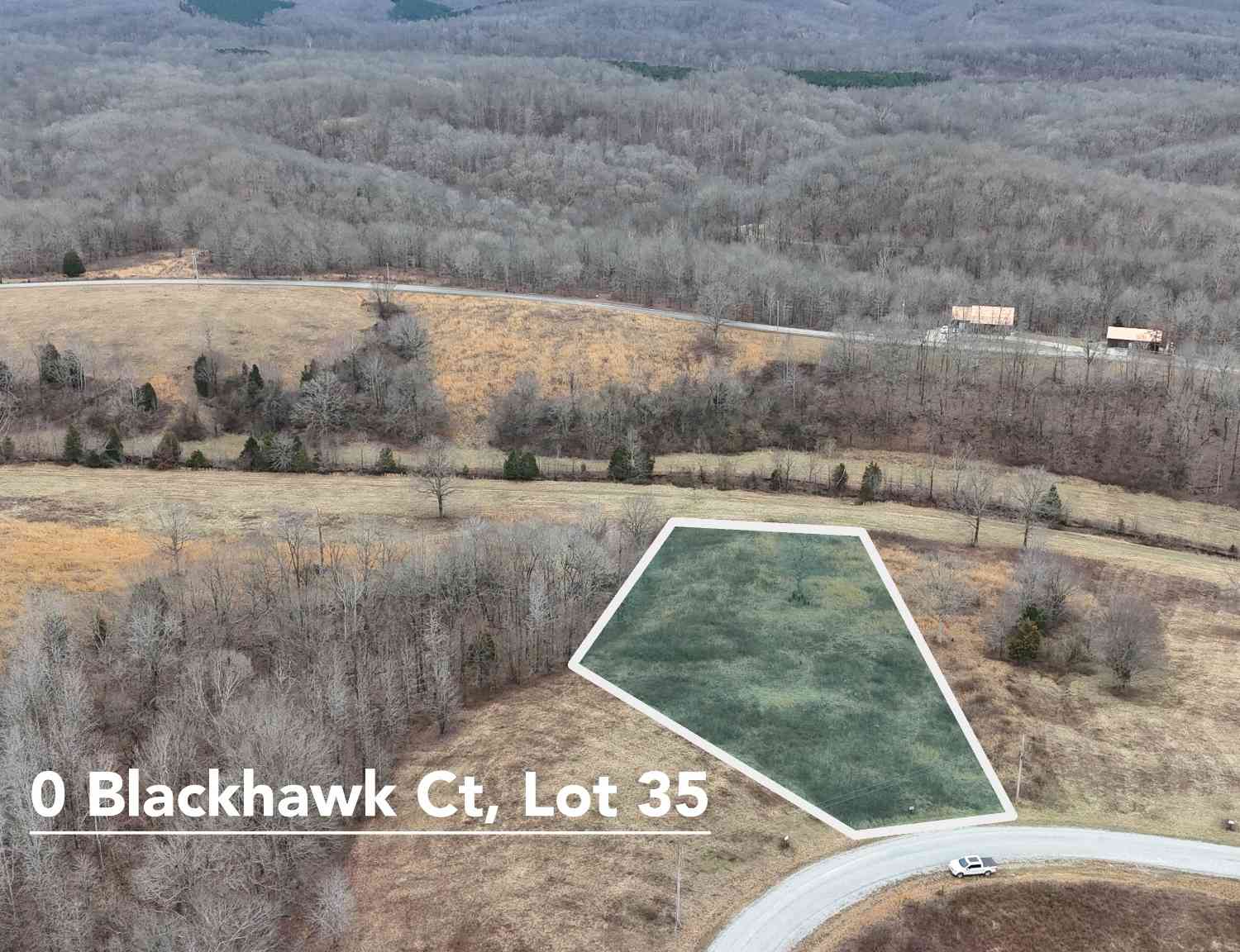 Blackhawk Ct, Waverly, Tennessee image 1