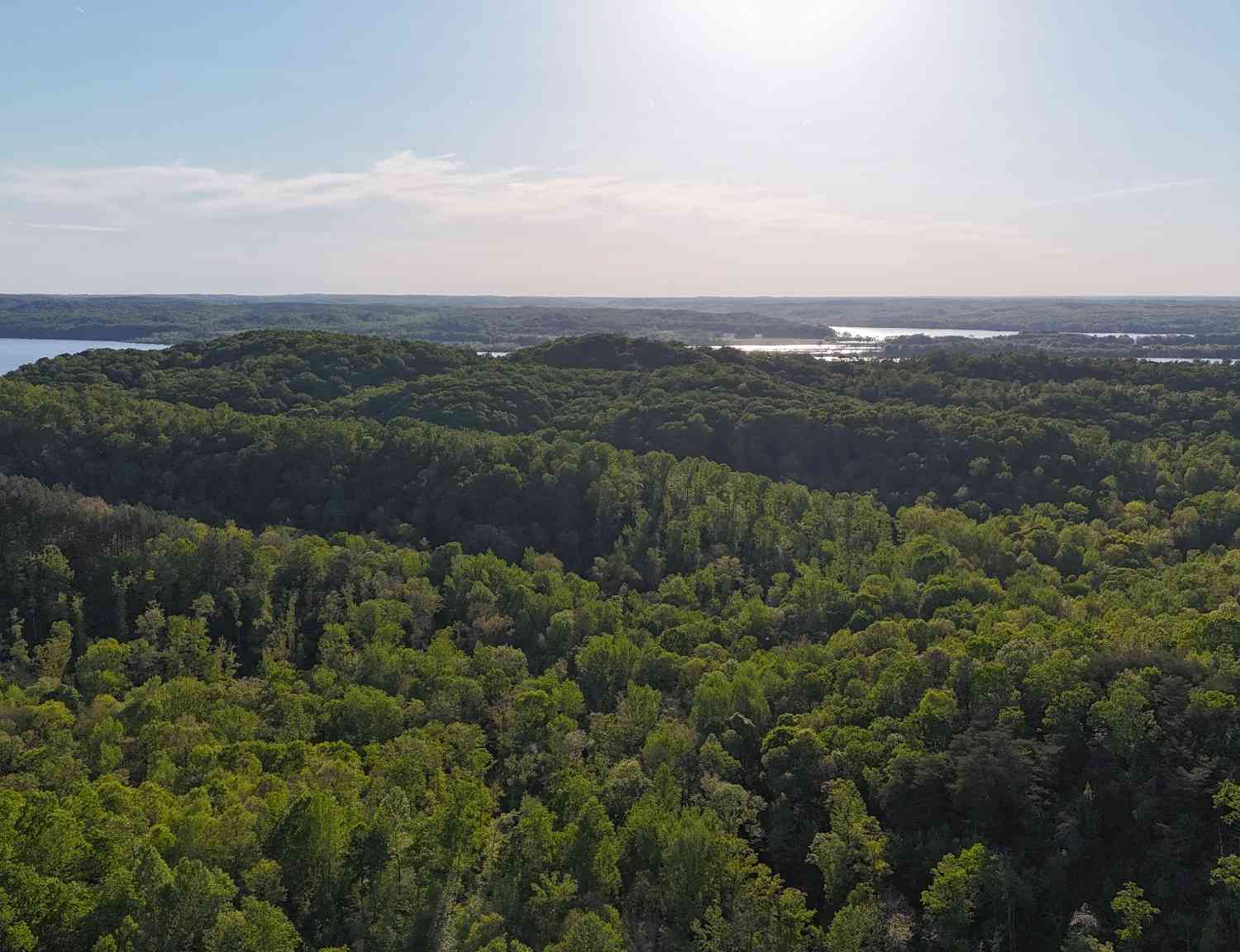 Richland Harbor Rd, Waverly, Tennessee image 8