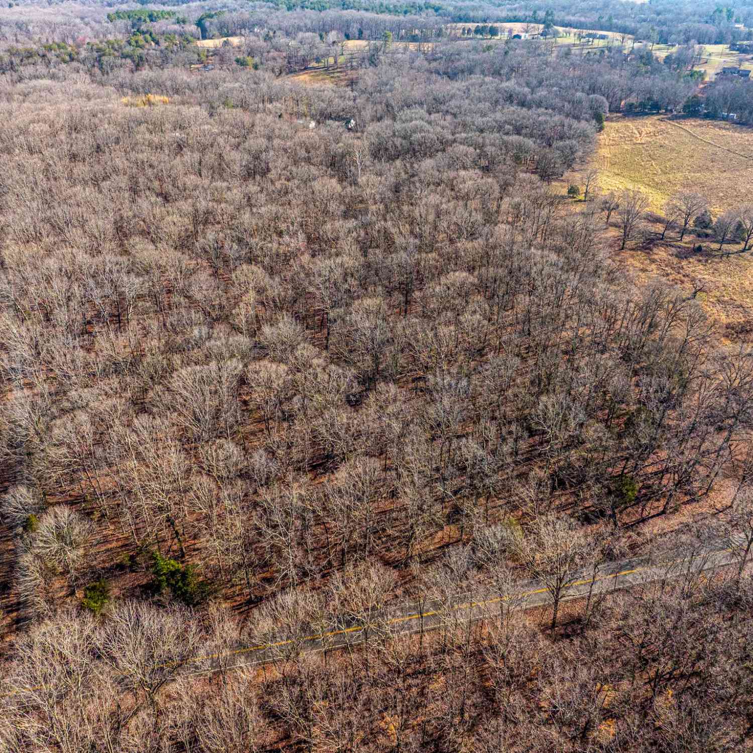 Dug Hill Rd, Fairview, Tennessee image 1