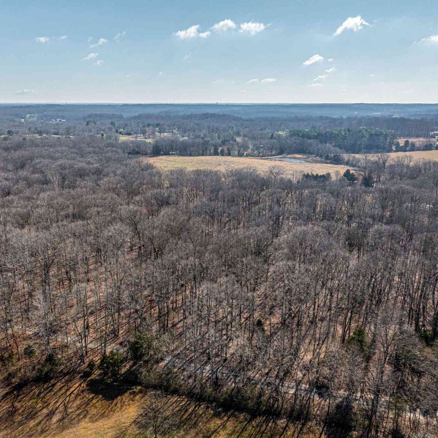 Dug Hill Rd, Fairview, Tennessee image 3