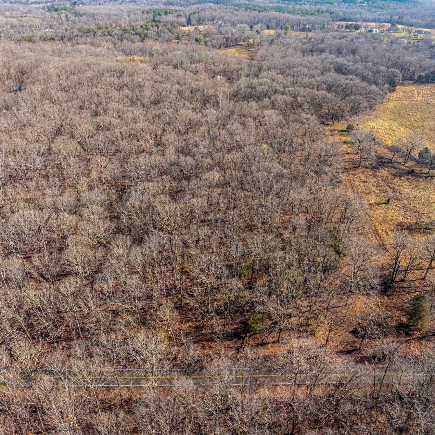 Dug Hill Rd, Fairview, Tennessee image 7