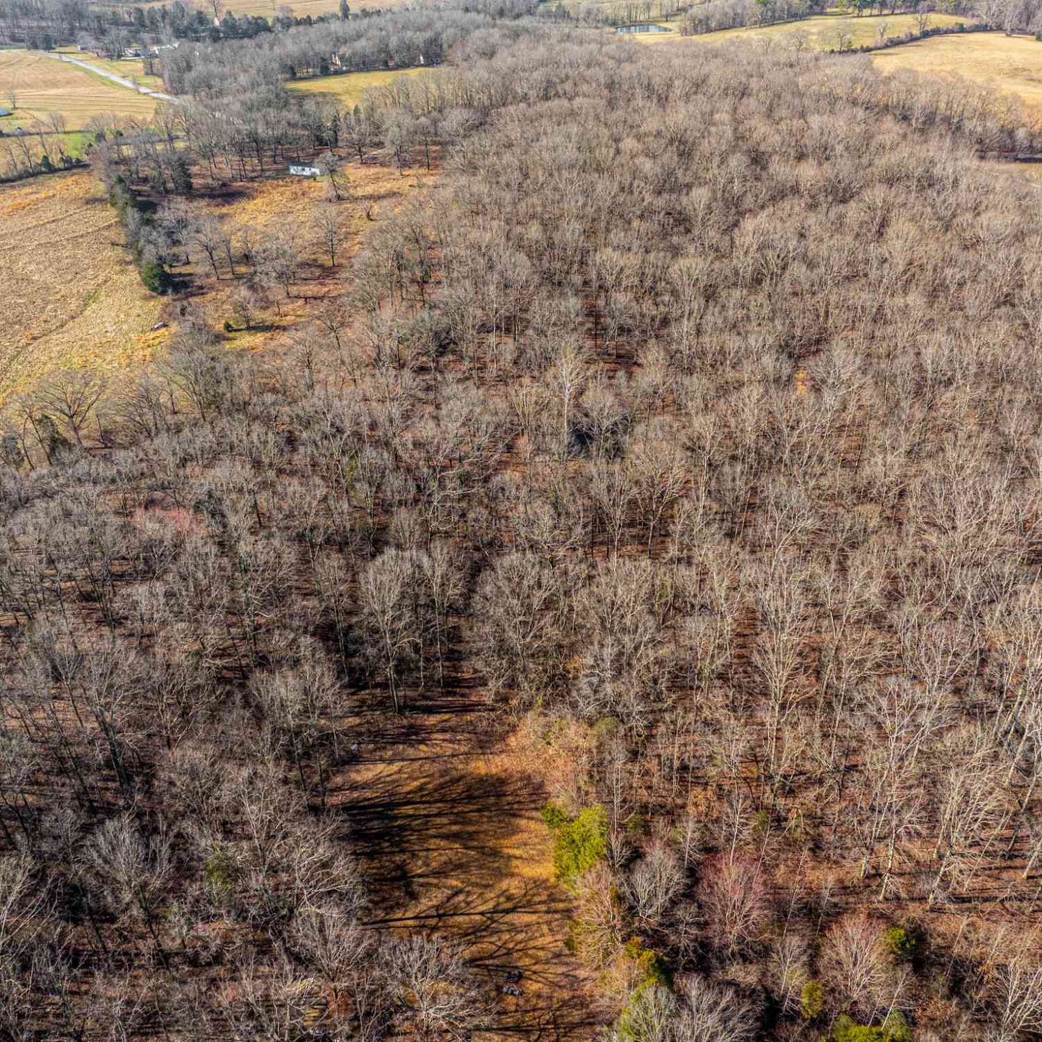 Dug Hill Rd, Fairview, Tennessee image 8