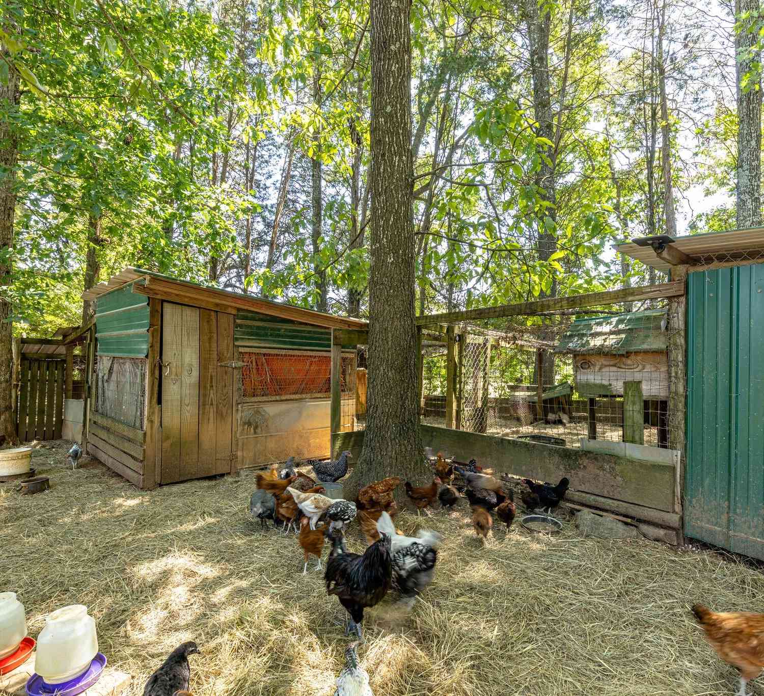 2812 Bolton Rd, Columbia, Tennessee image 6