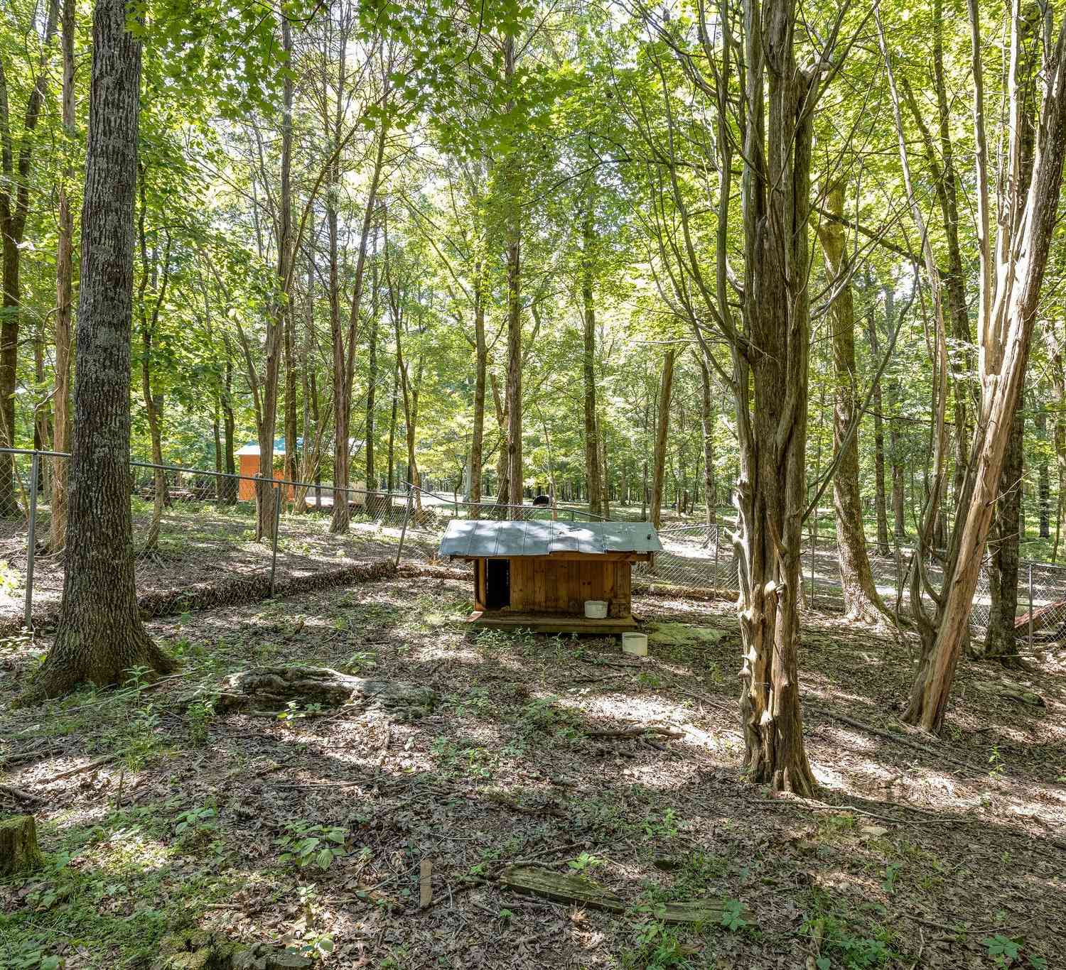 2812 Bolton Rd, Columbia, Tennessee image 46