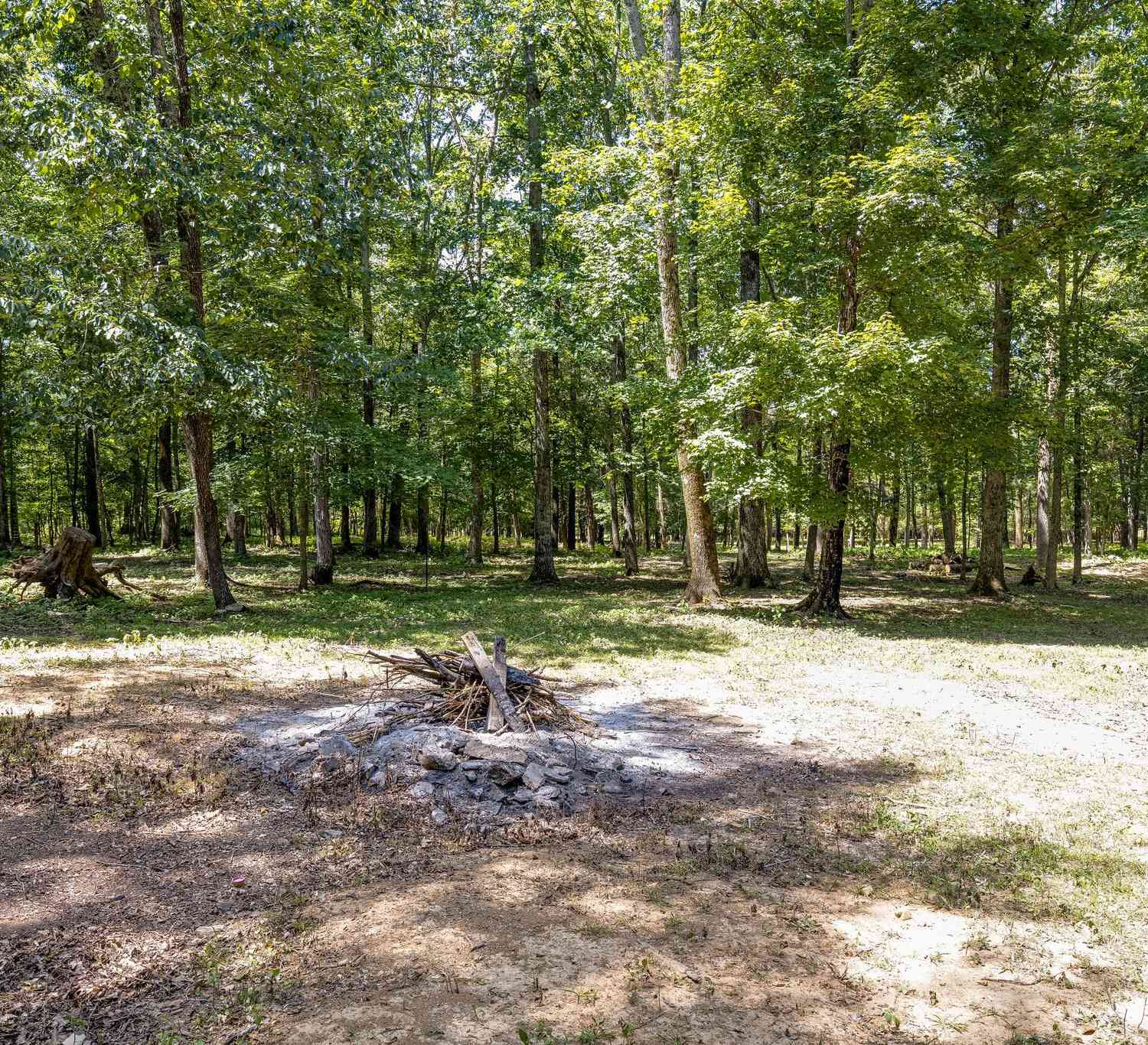 2812 Bolton Rd, Columbia, Tennessee image 22