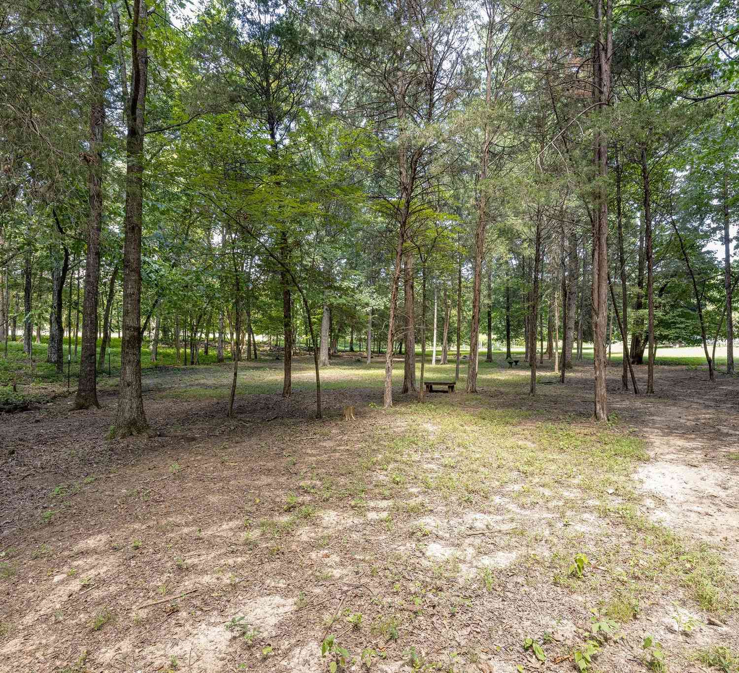 2812 Bolton Rd, Columbia, Tennessee image 24