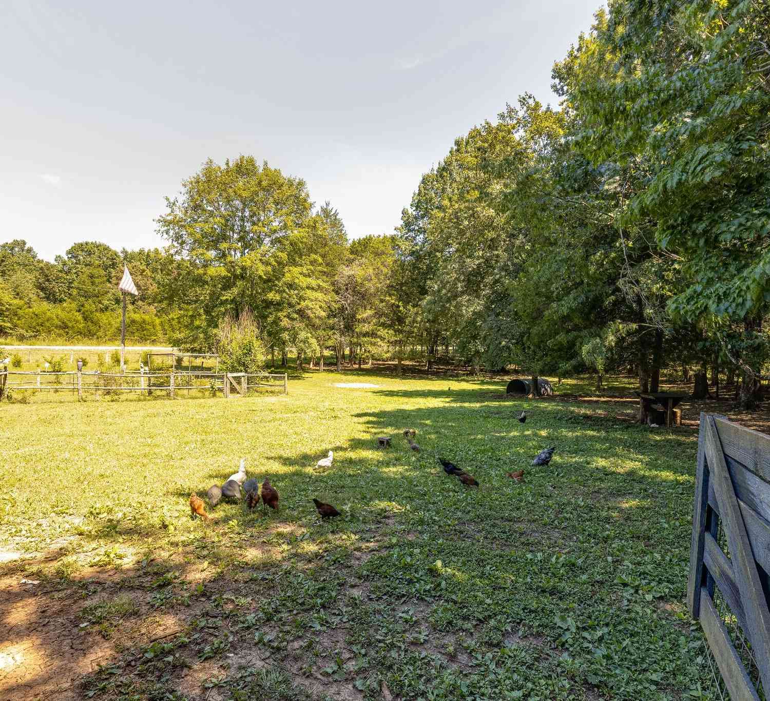 2812 Bolton Rd, Columbia, Tennessee image 3