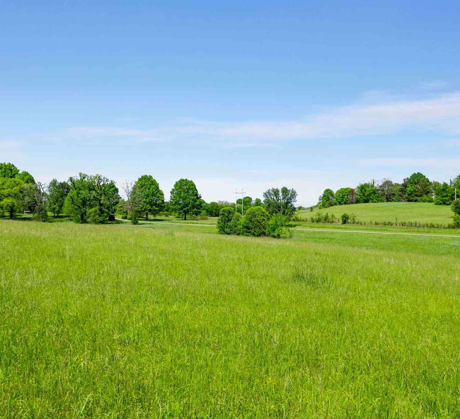 6768 Old Zion Rd, Columbia, Tennessee image 39