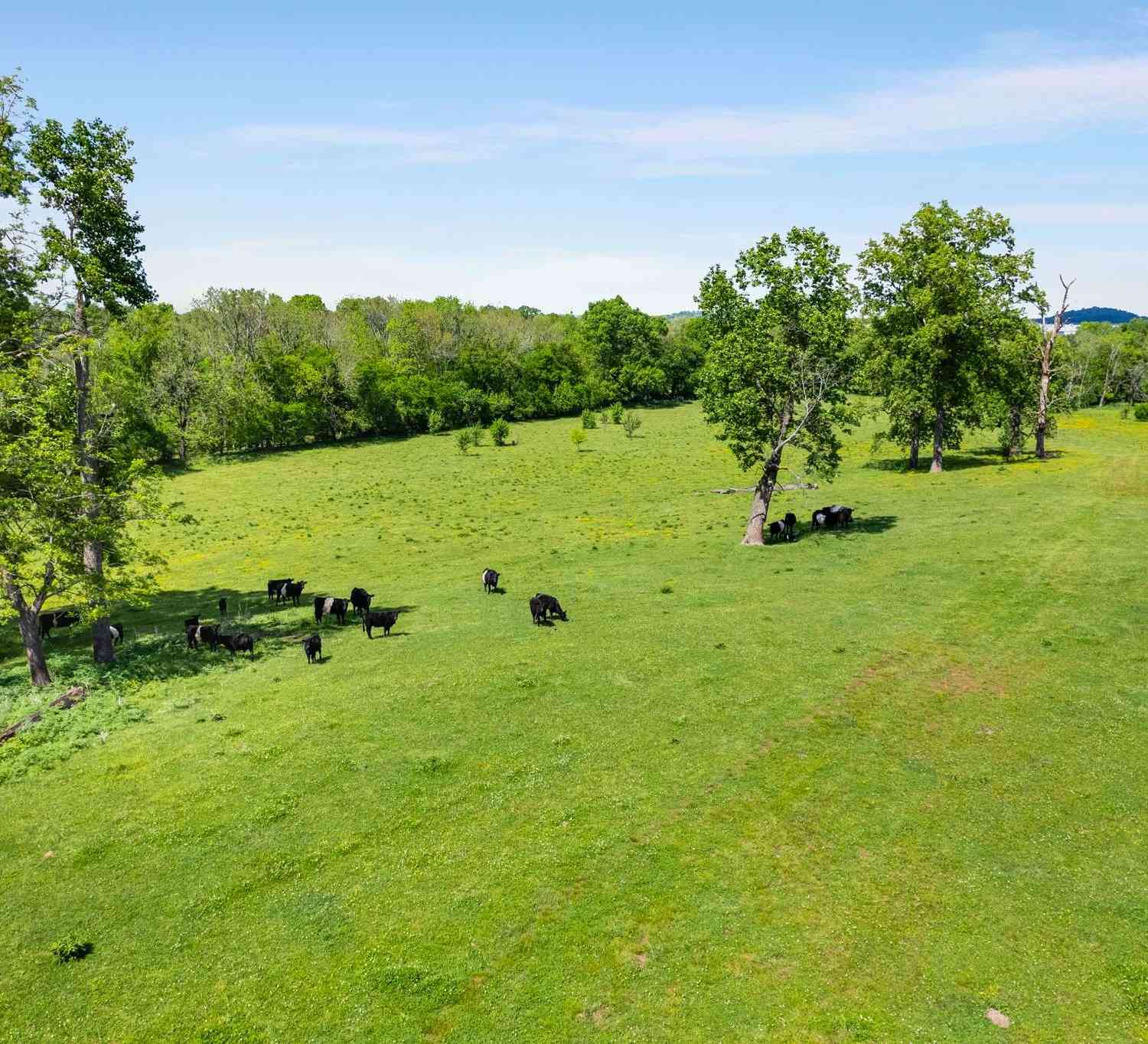 6768 Old Zion Rd, Columbia, Tennessee image 43