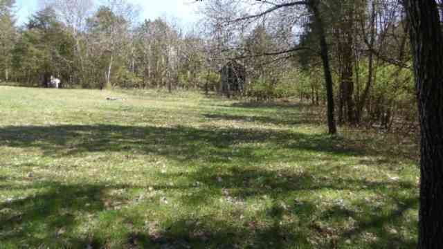 1586 Needmore Rd, Old Hickory, Tennessee image 45