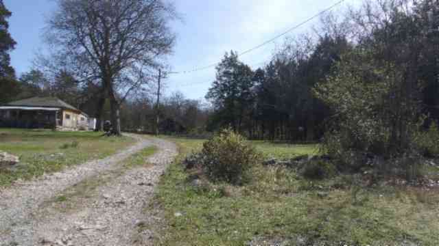 1586 Needmore Rd, Old Hickory, Tennessee image 16