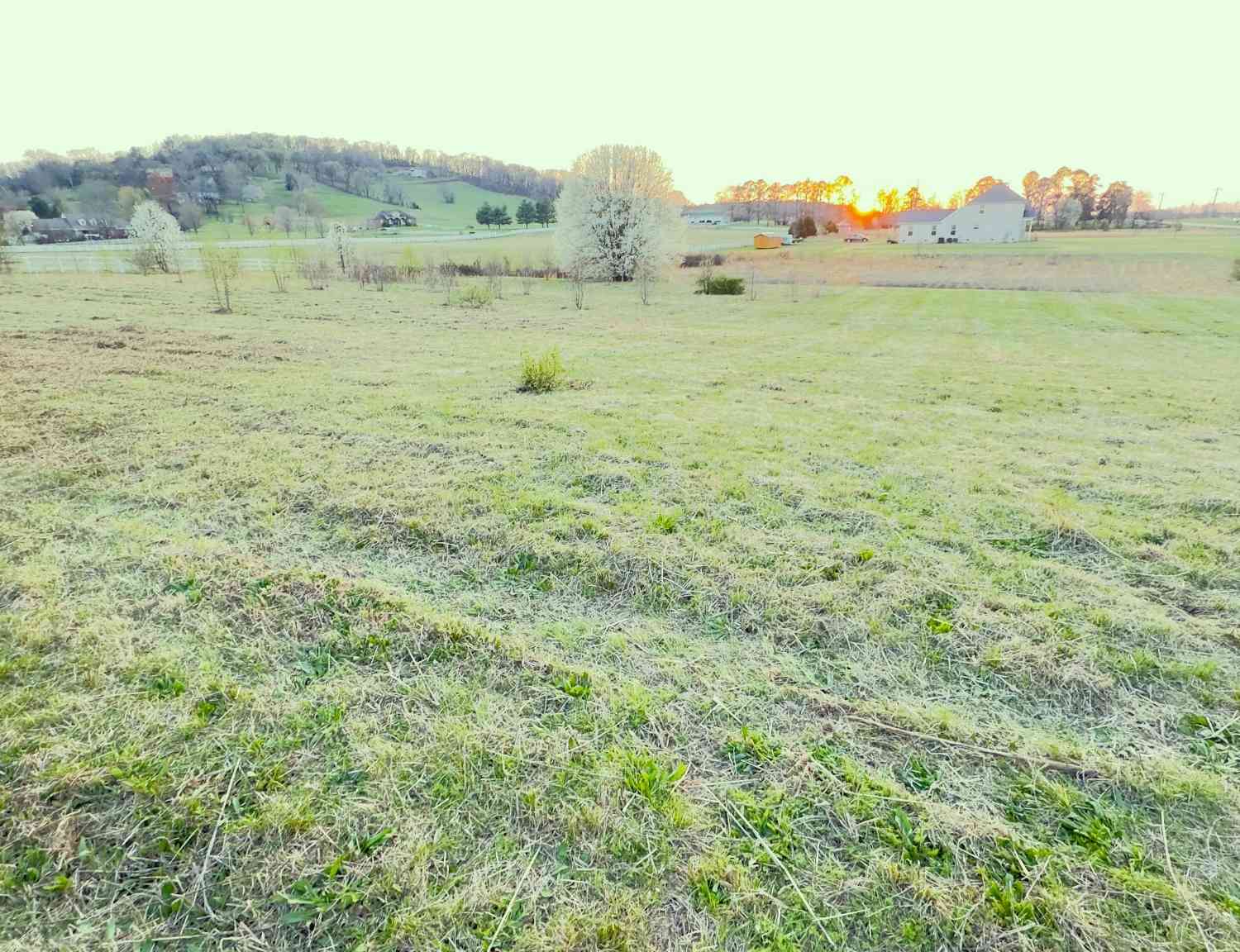 2766 Pulaski Hwy, Columbia, Tennessee image 3