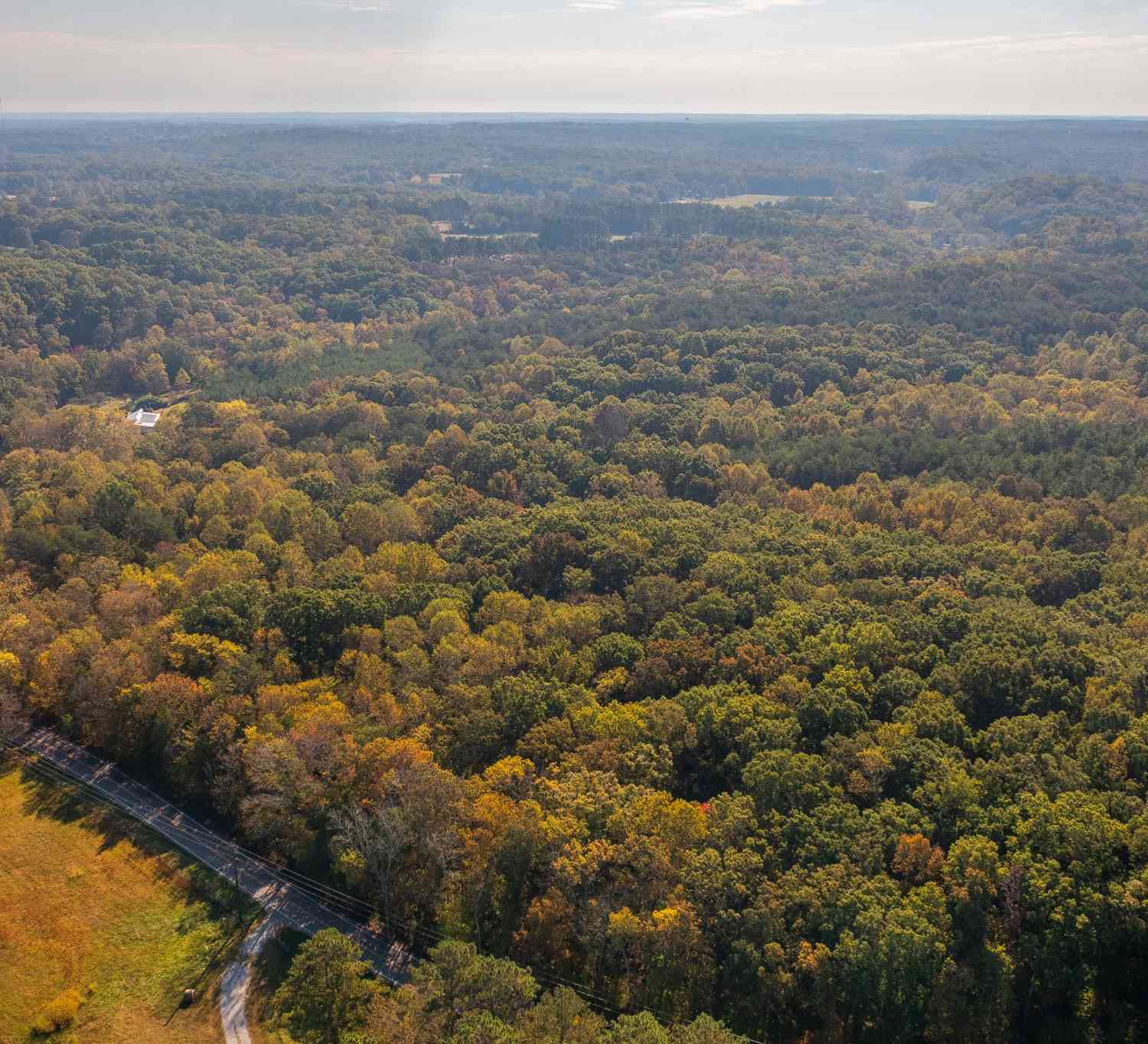 Crow Cut Rd, Fairview, Tennessee image 16