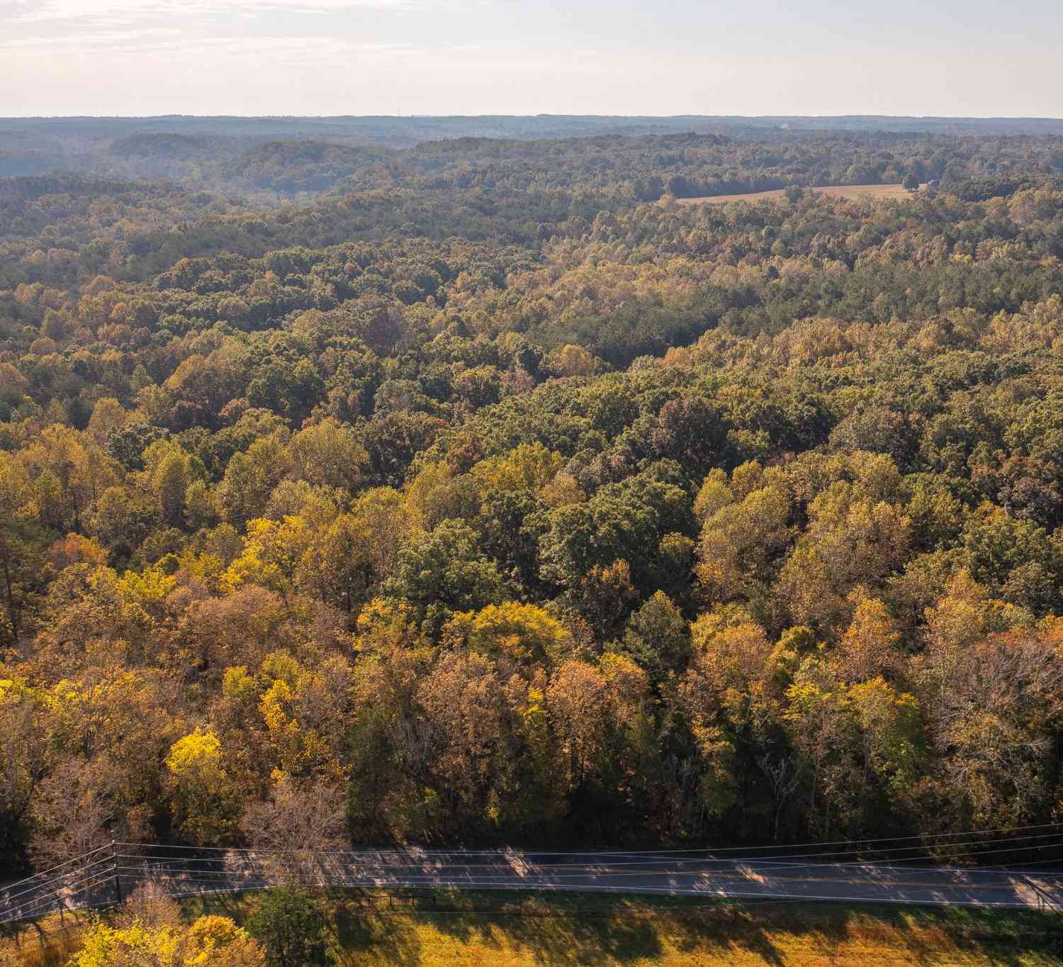 Crow Cut Rd, Fairview, Tennessee image 11