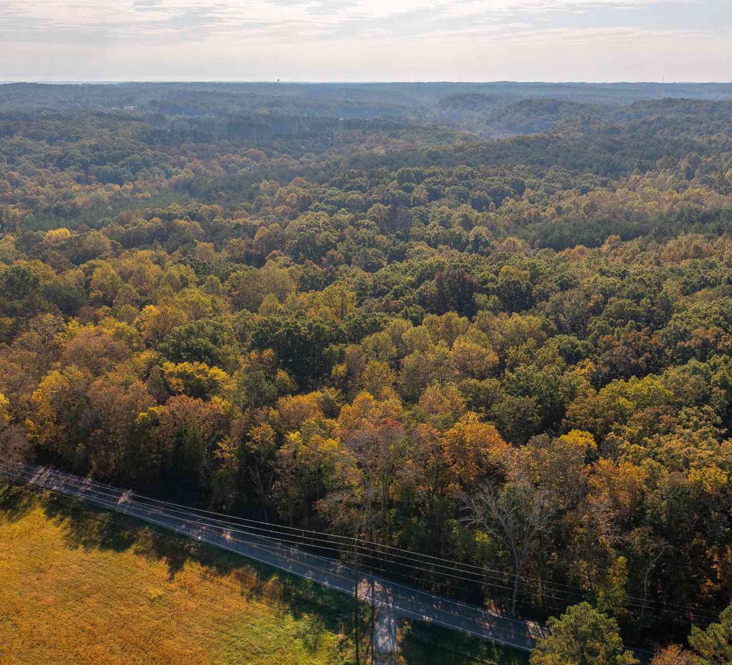 Crow Cut Rd, Fairview, Tennessee image 12