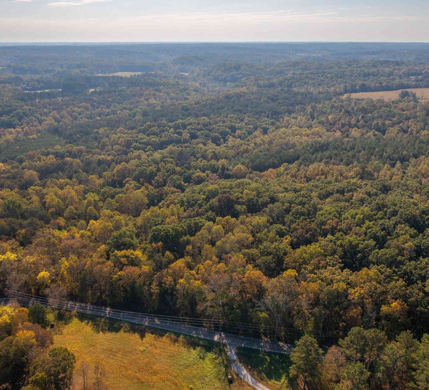 Crow Cut Rd, Fairview, Tennessee image 15