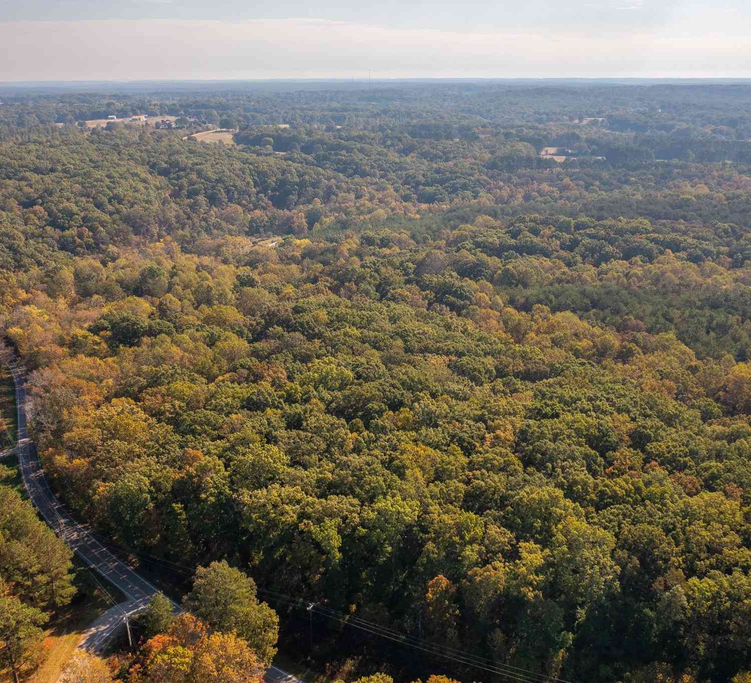 Crow Cut Rd, Fairview, Tennessee image 17