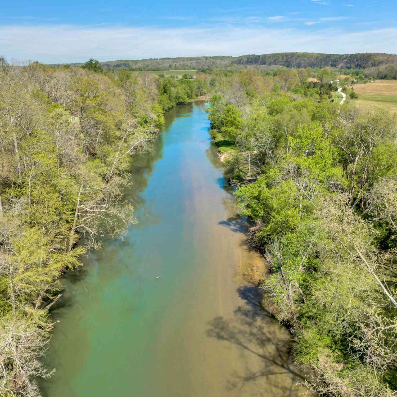 Texas Bottom Lane, Hohenwald, Tennessee image 6