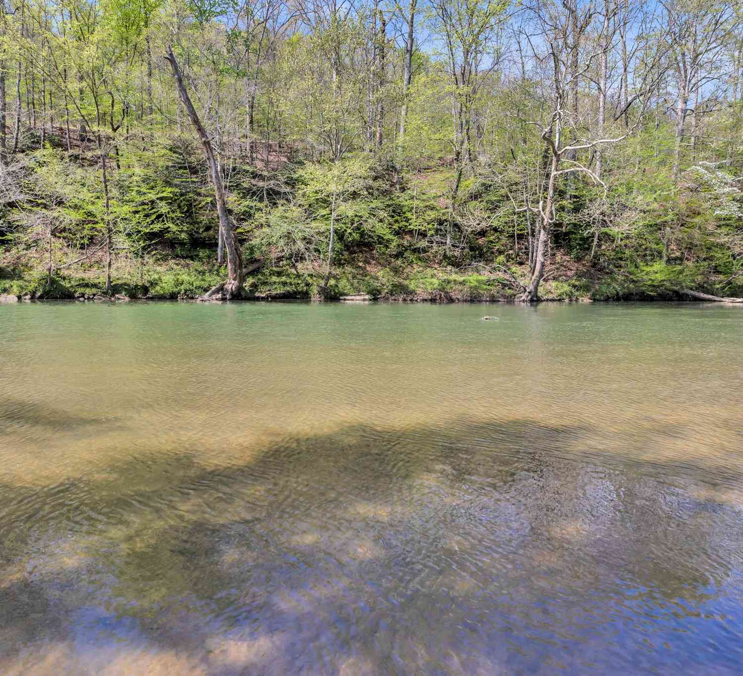 Texas Bottom Lane, Hohenwald, Tennessee image 19