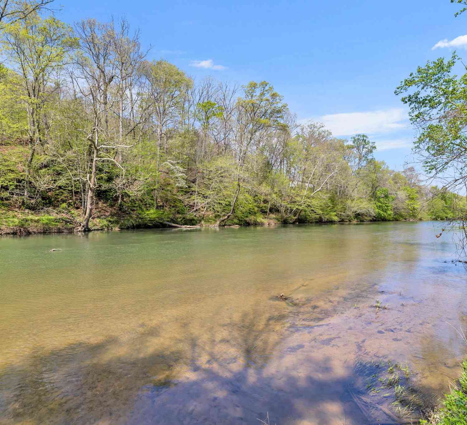 Texas Bottom Lane, Hohenwald, Tennessee image 18