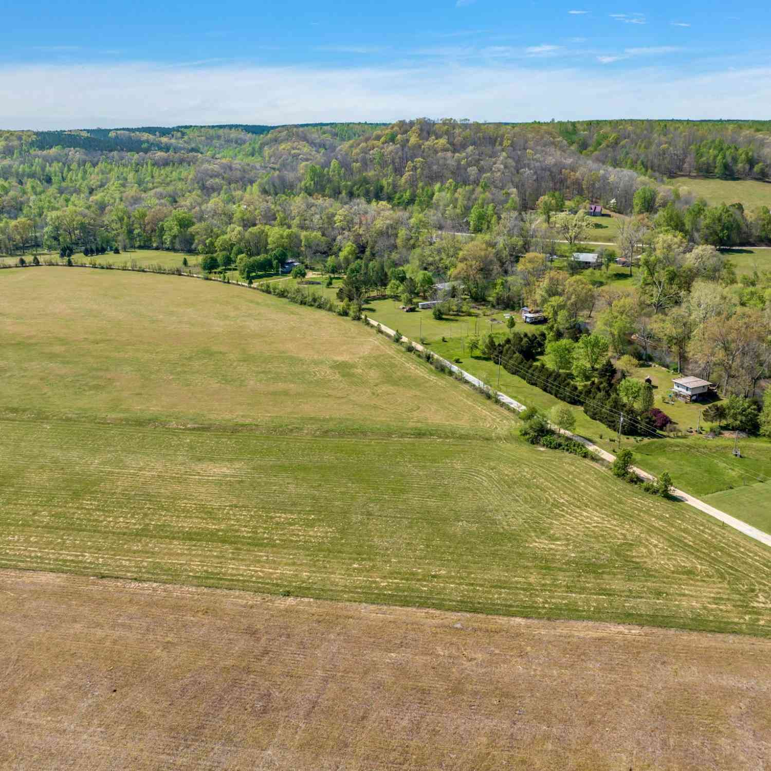 Texas Bottom Lane, Hohenwald, Tennessee image 12