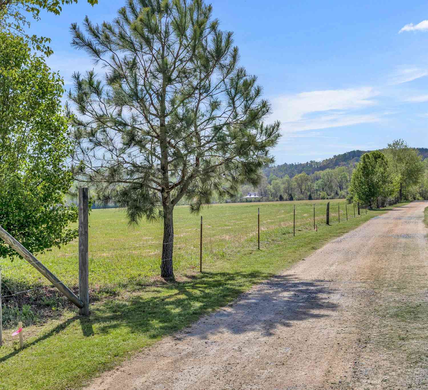 Texas Bottom Lane, Hohenwald, Tennessee image 20