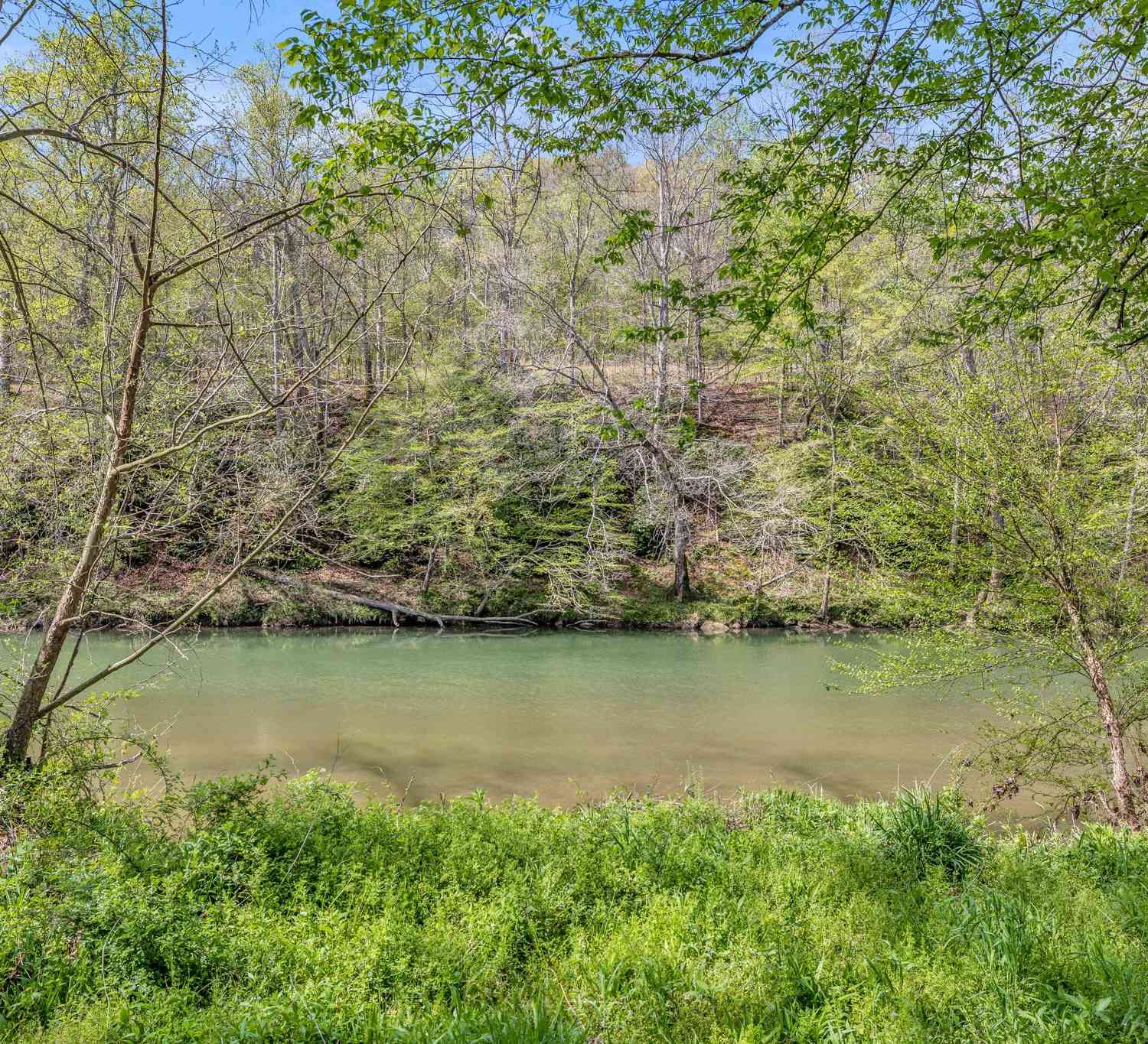 Texas Bottom Lane, Hohenwald, Tennessee image 17