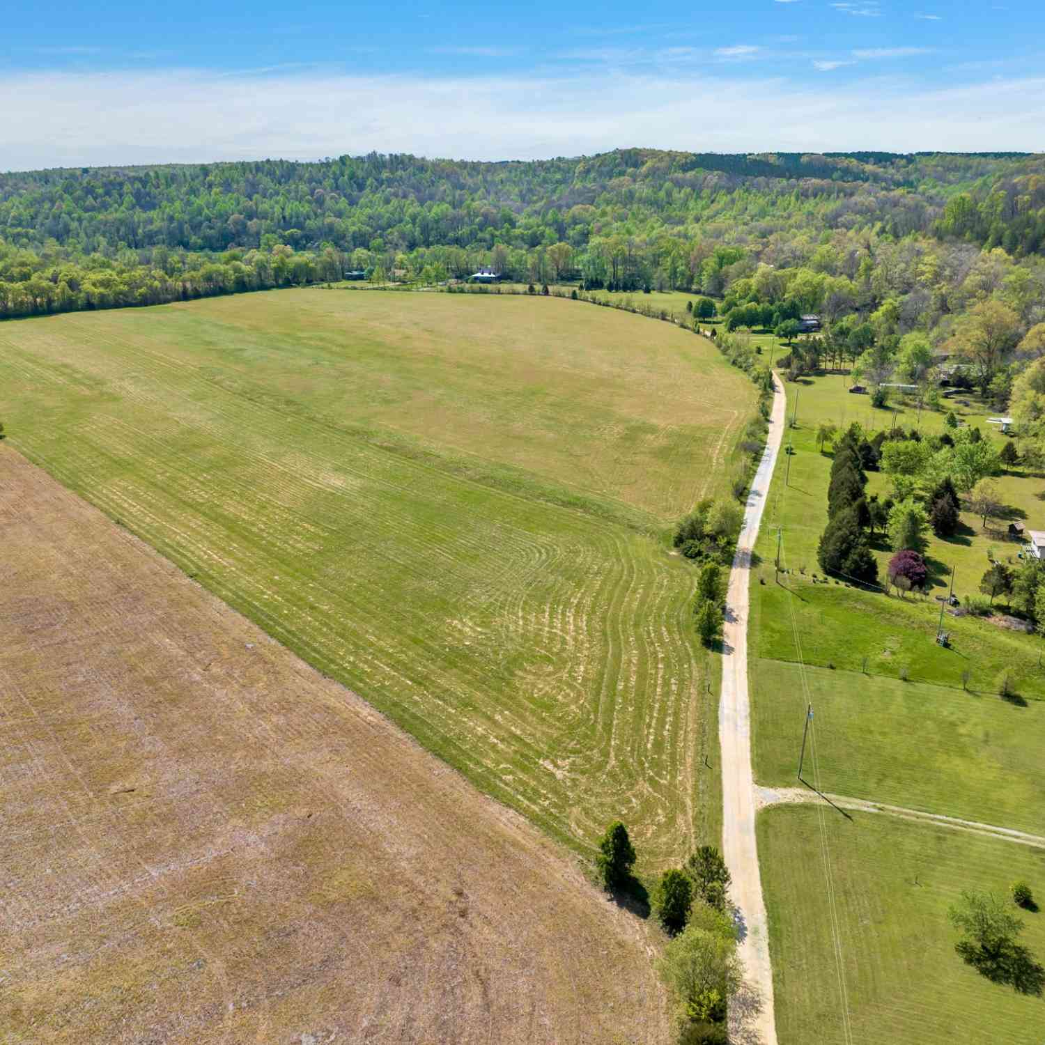 Texas Bottom Lane, Hohenwald, Tennessee image 9