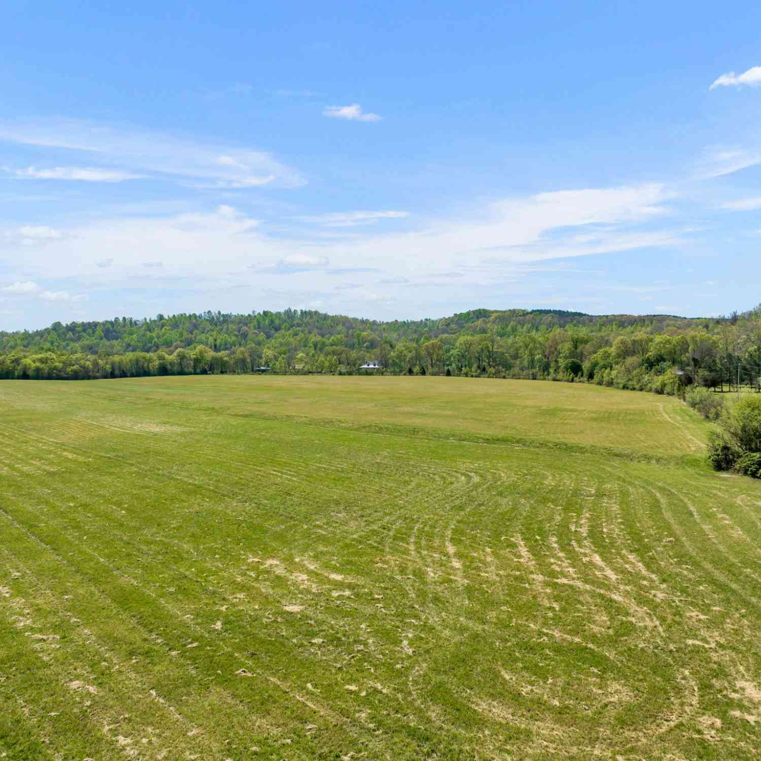 Texas Bottom Lane, Hohenwald, Tennessee image 13