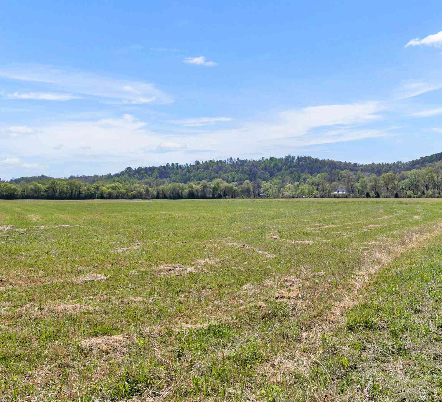 Texas Bottom Lane, Hohenwald, Tennessee image 21