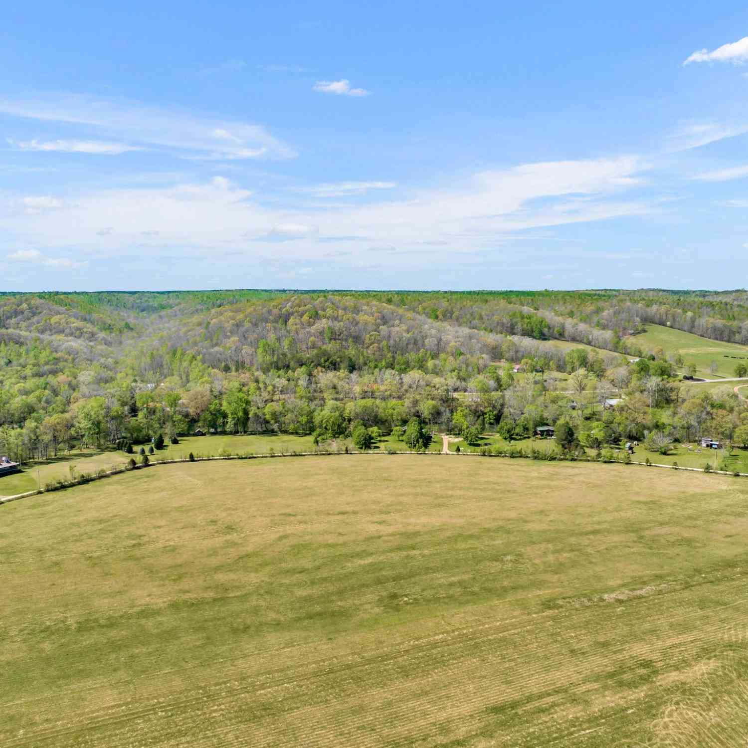 Texas Bottom Lane, Hohenwald, Tennessee image 15