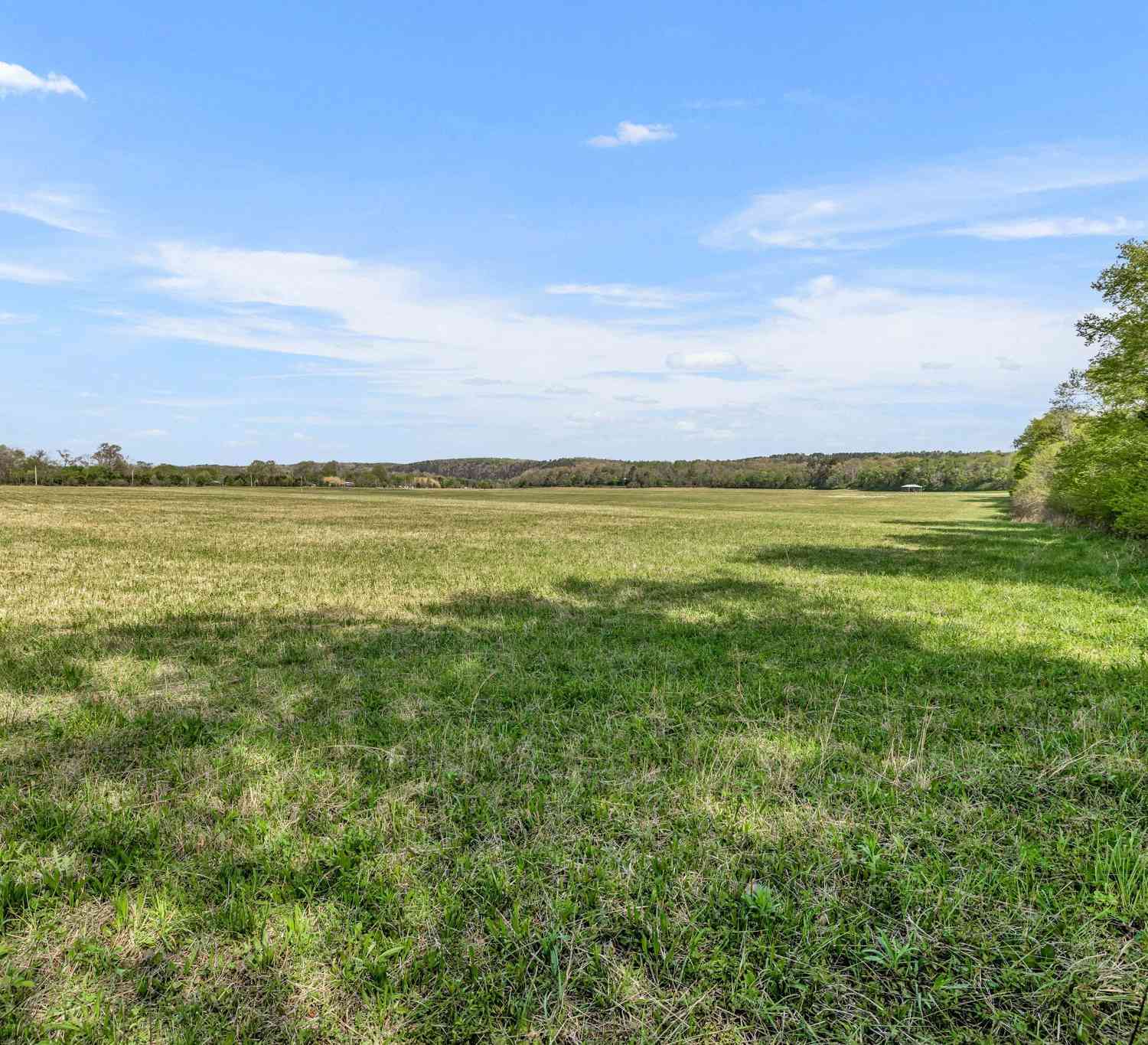 Texas Bottom Lane, Hohenwald, Tennessee image 10