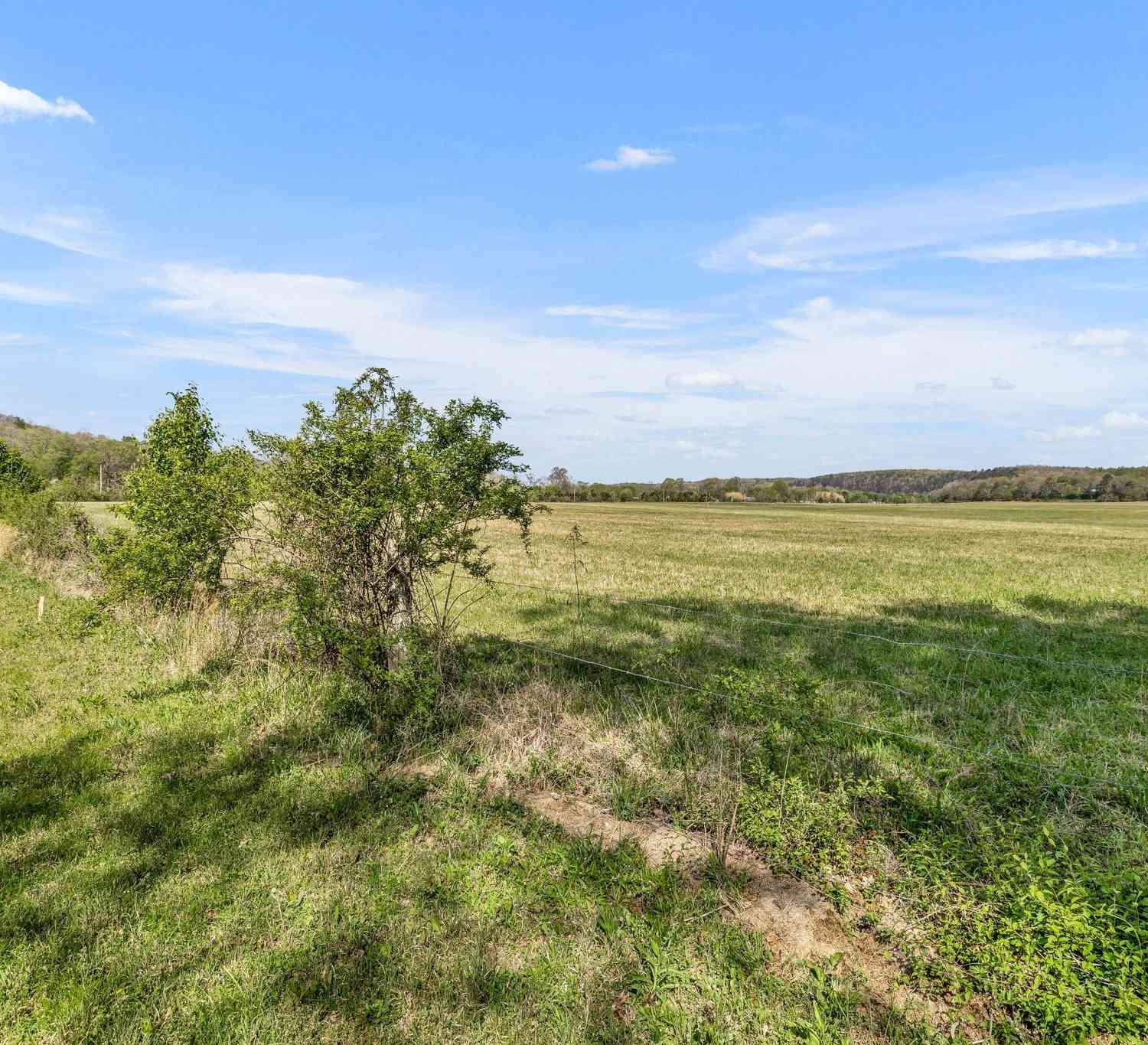 Texas Bottom Lane, Hohenwald, Tennessee image 8