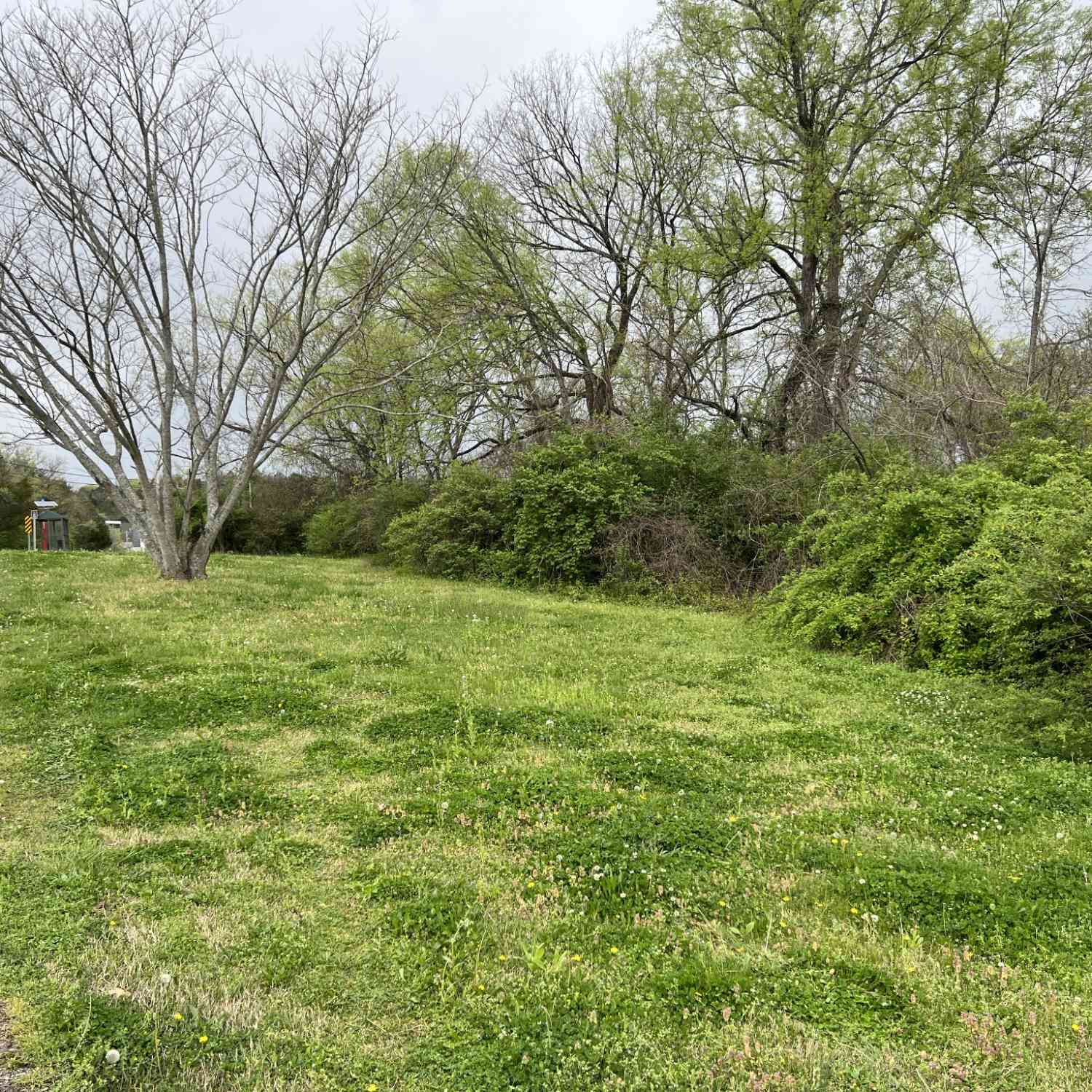 Armstrong St, Columbia, Tennessee image 8