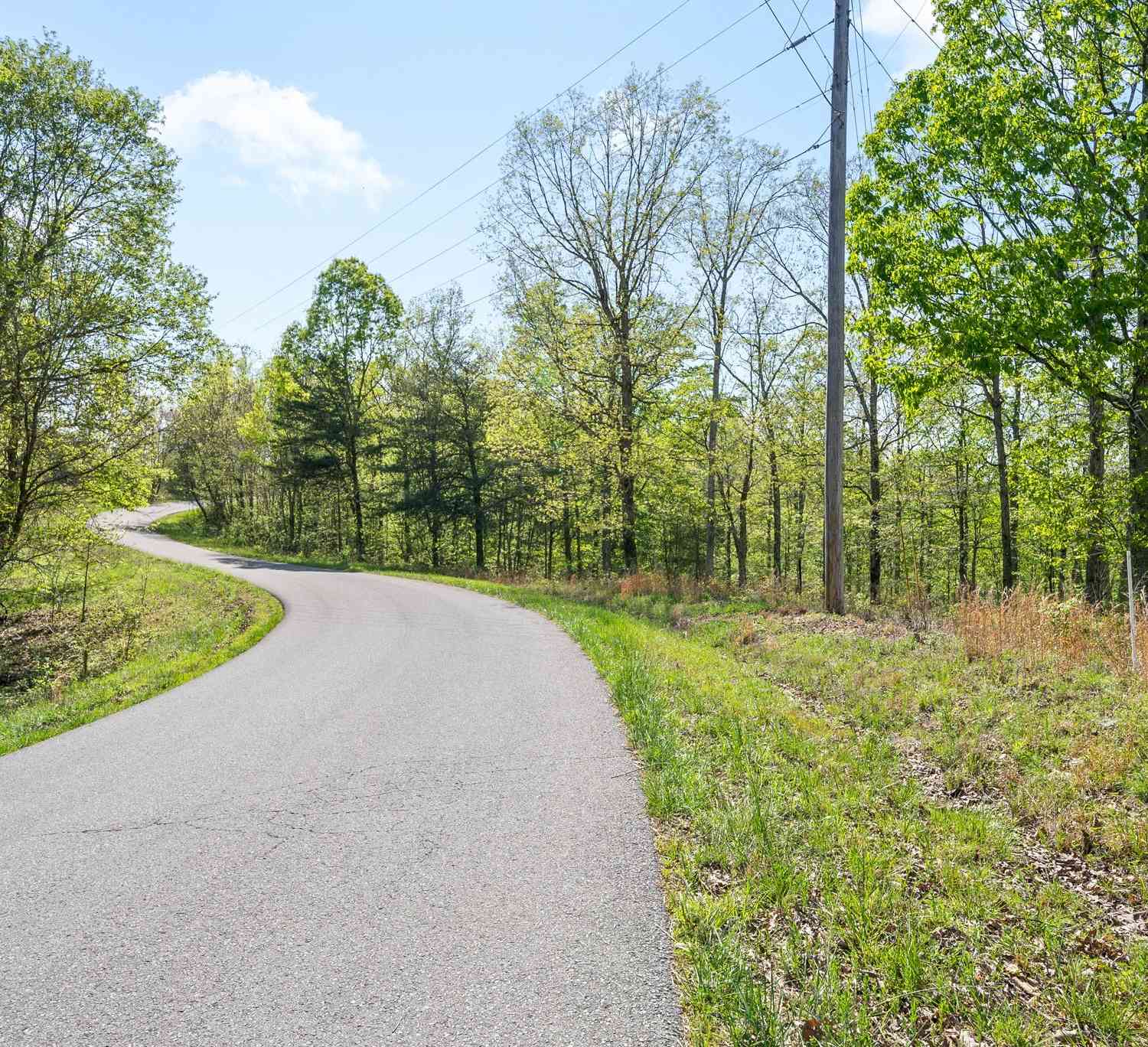 Highwater Rd, Waverly, Tennessee image 8