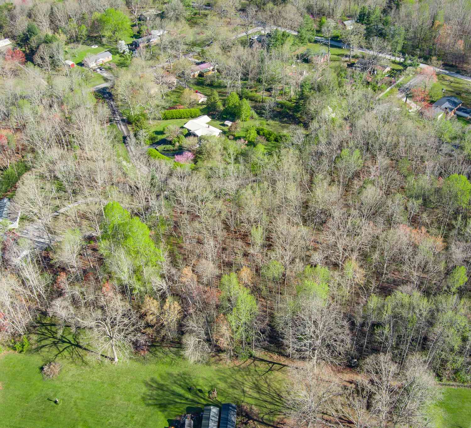 Avondale Lane, Sparta, Tennessee image 9