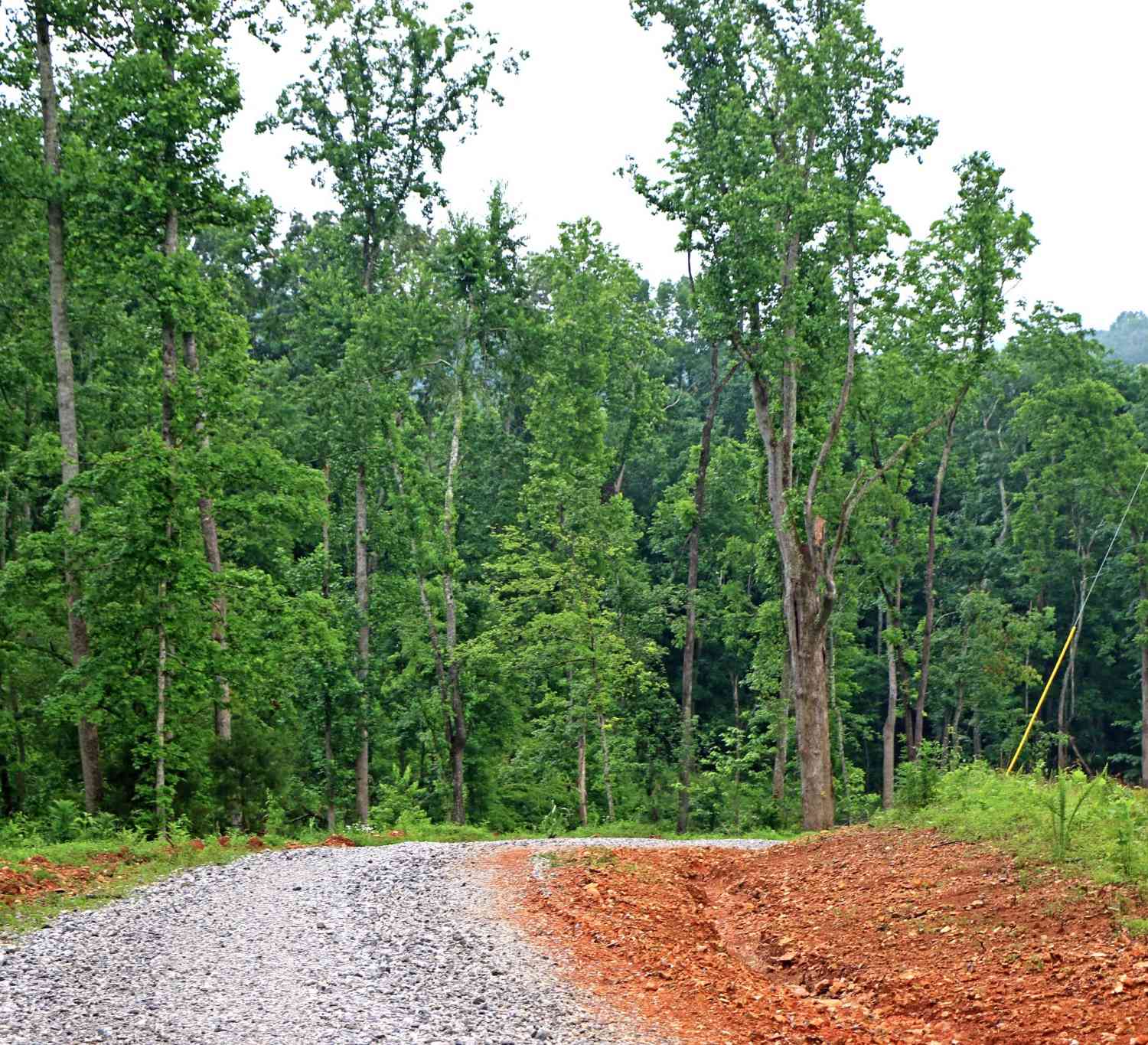 Bell Hollow Rd, Vanleer, Tennessee image 33