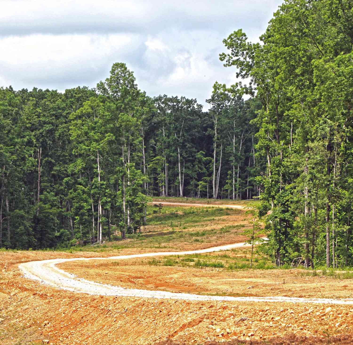 Bell Hollow Rd, Vanleer, Tennessee image 3