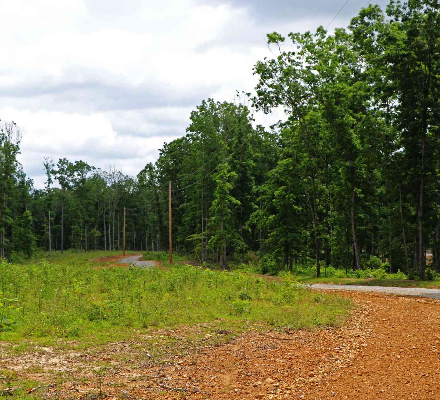 Bell Hollow Rd, Vanleer, Tennessee image 49