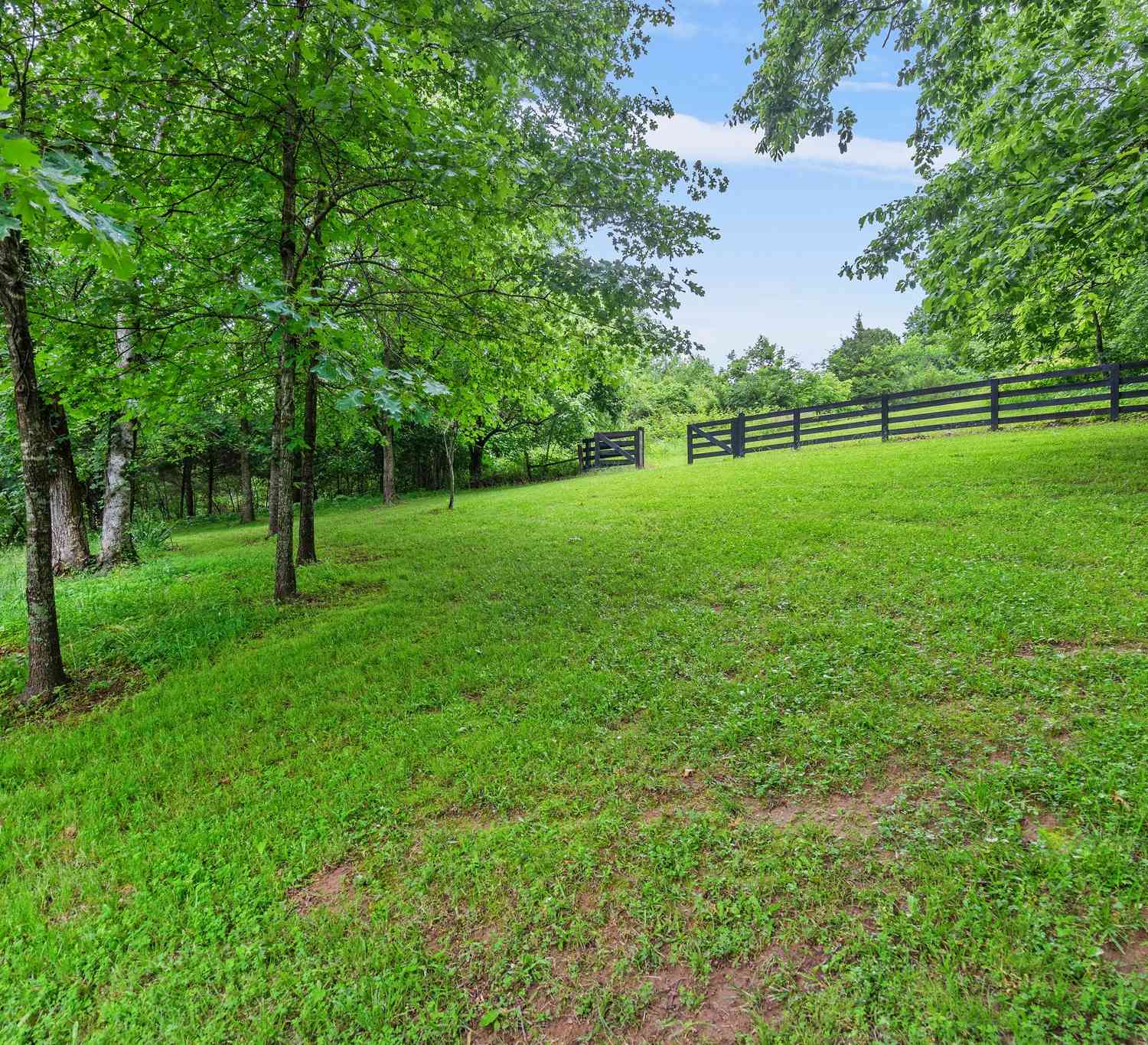 1780 Molly Hollow Rd, Nolensville, Tennessee image 10