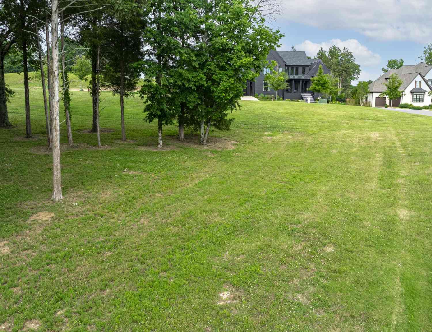 7266 Harlow Dr, College Grove, Tennessee image 25