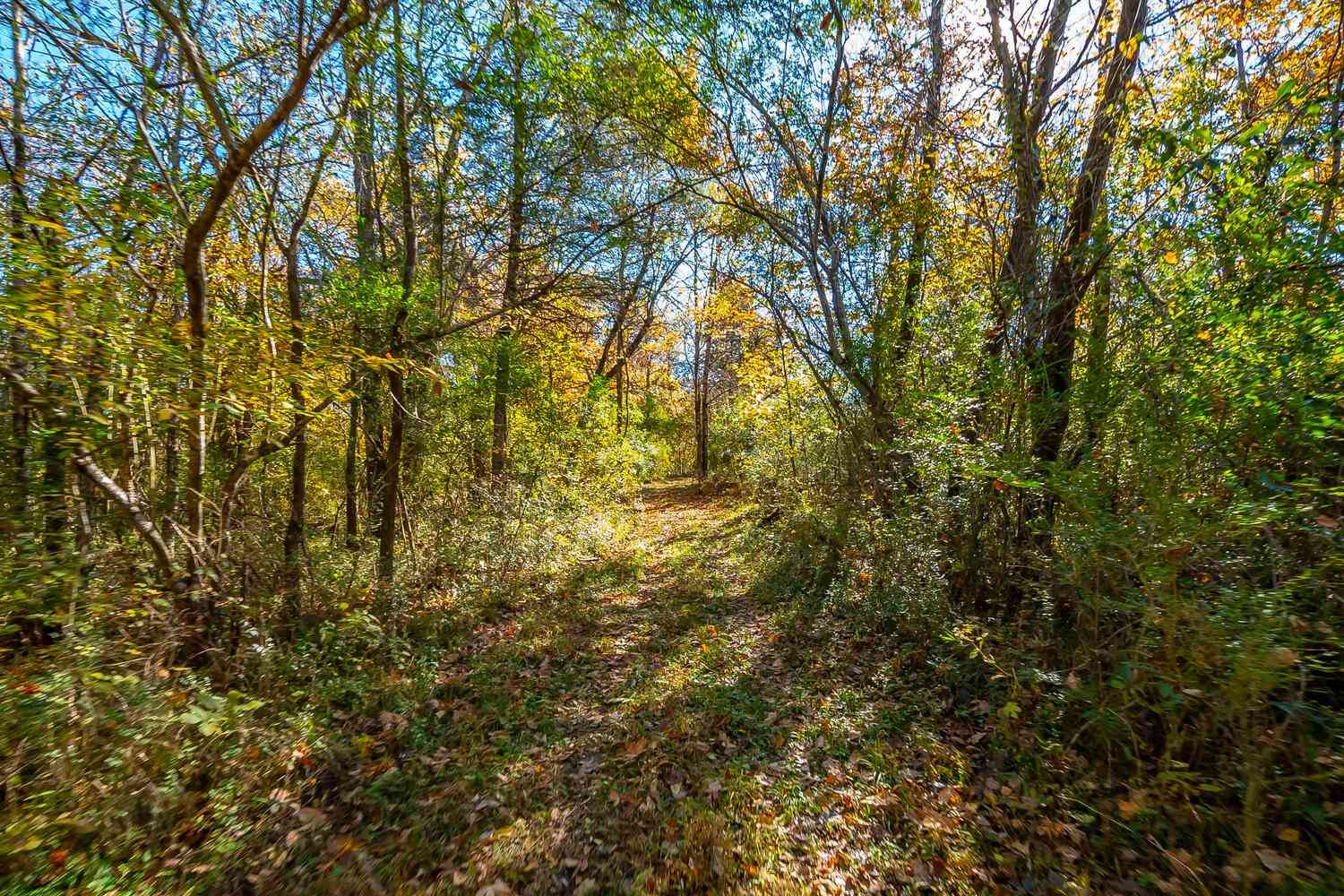 2360 Glennridge Rd, Columbia, Tennessee image 34