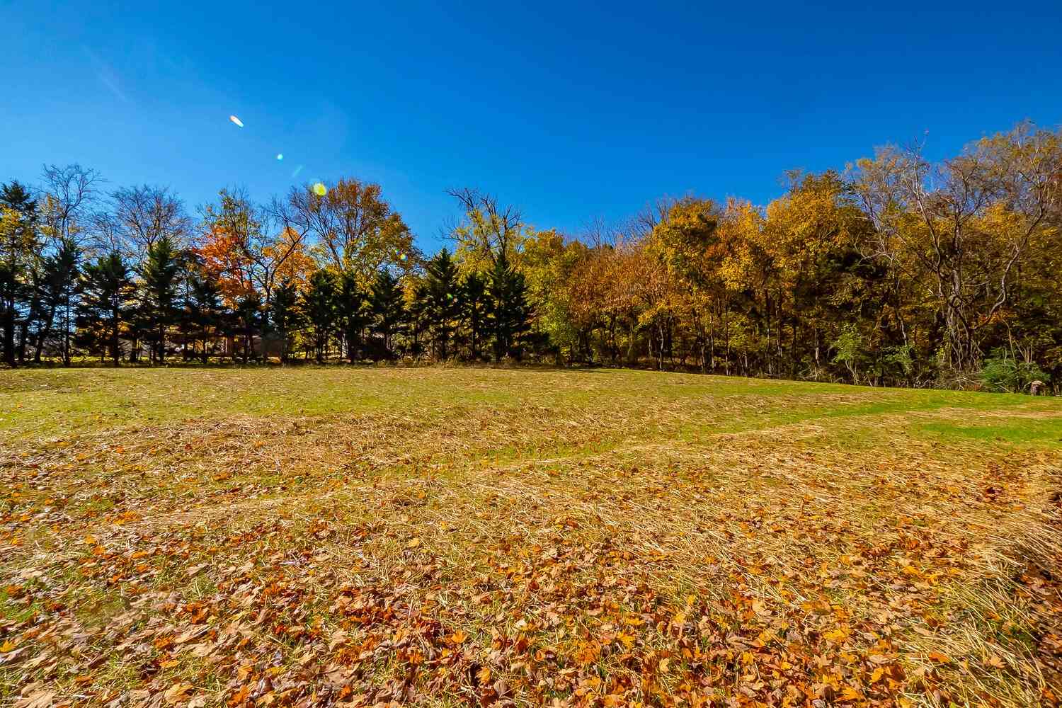 2360 Glennridge Rd, Columbia, Tennessee image 38